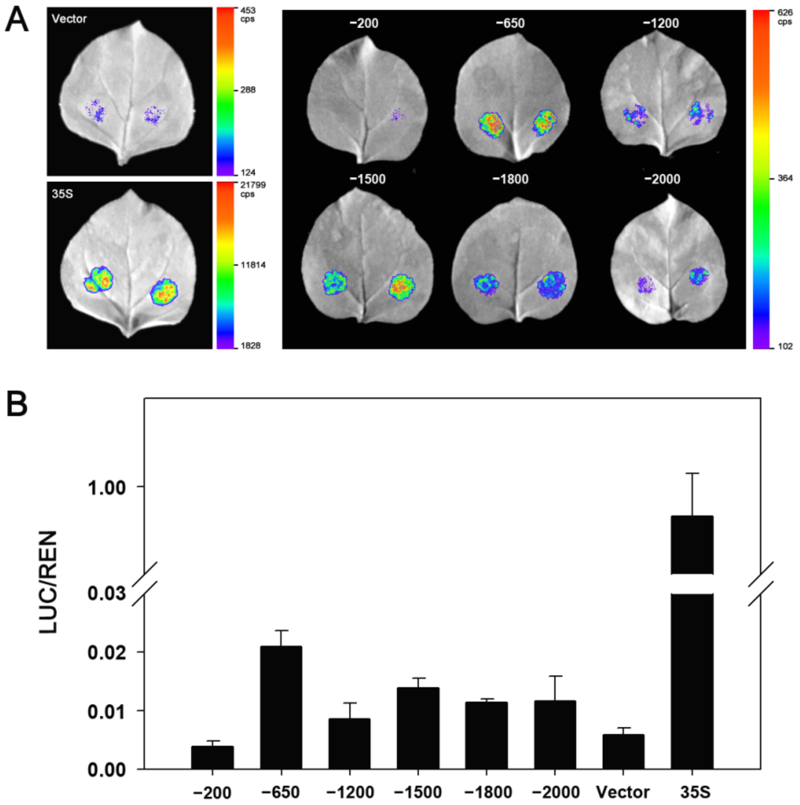 Ijms 23 07390 g008 550
