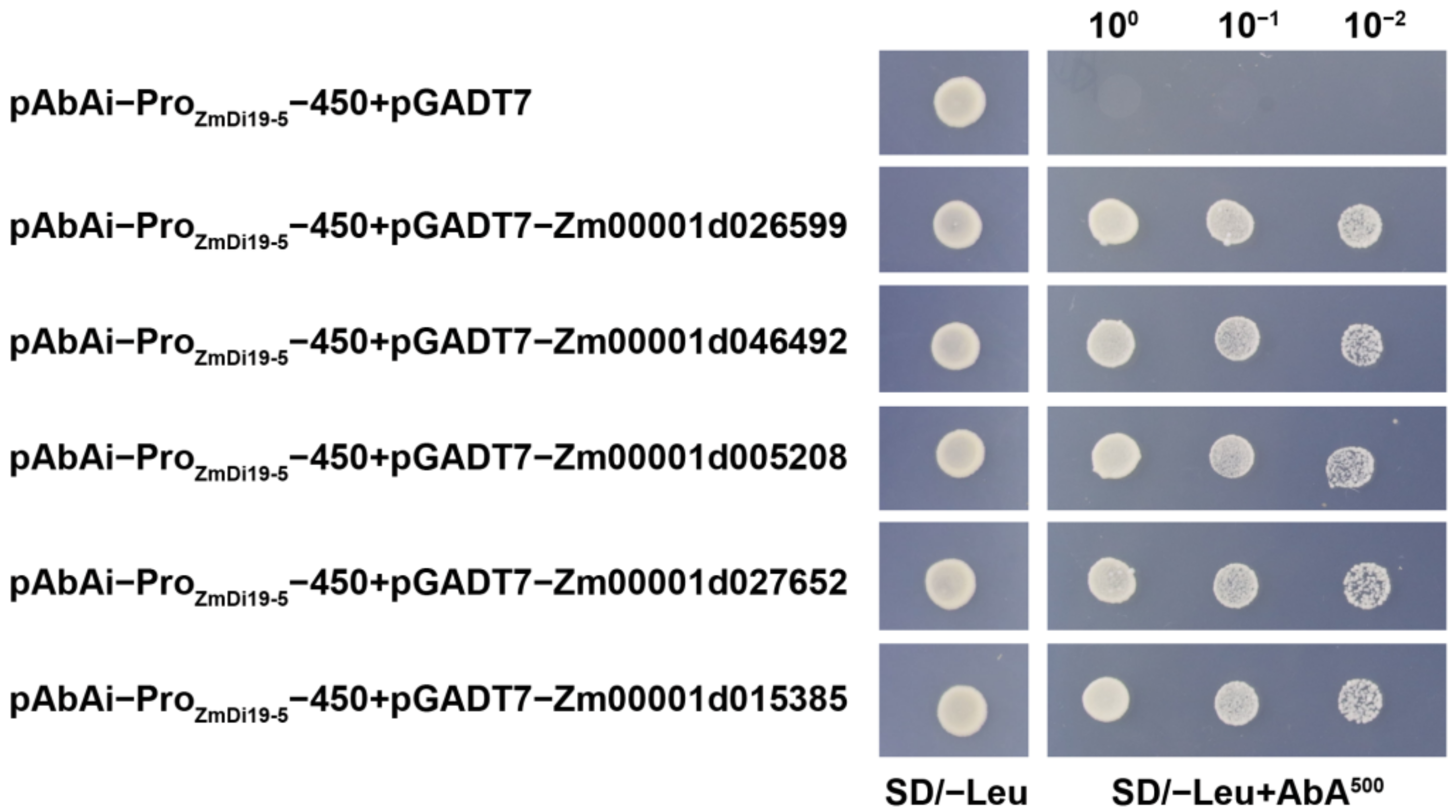 Ijms 23 07390 g010 550