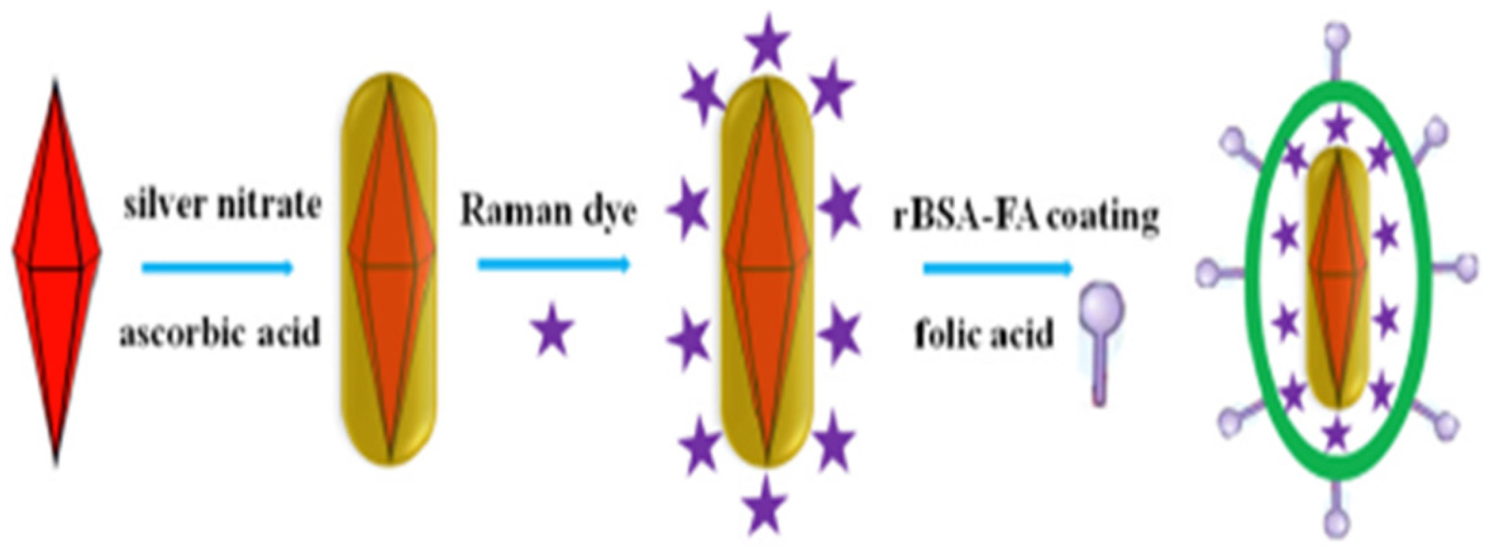 Ijms 23 07400 g002 Ijms 23 07400 g002