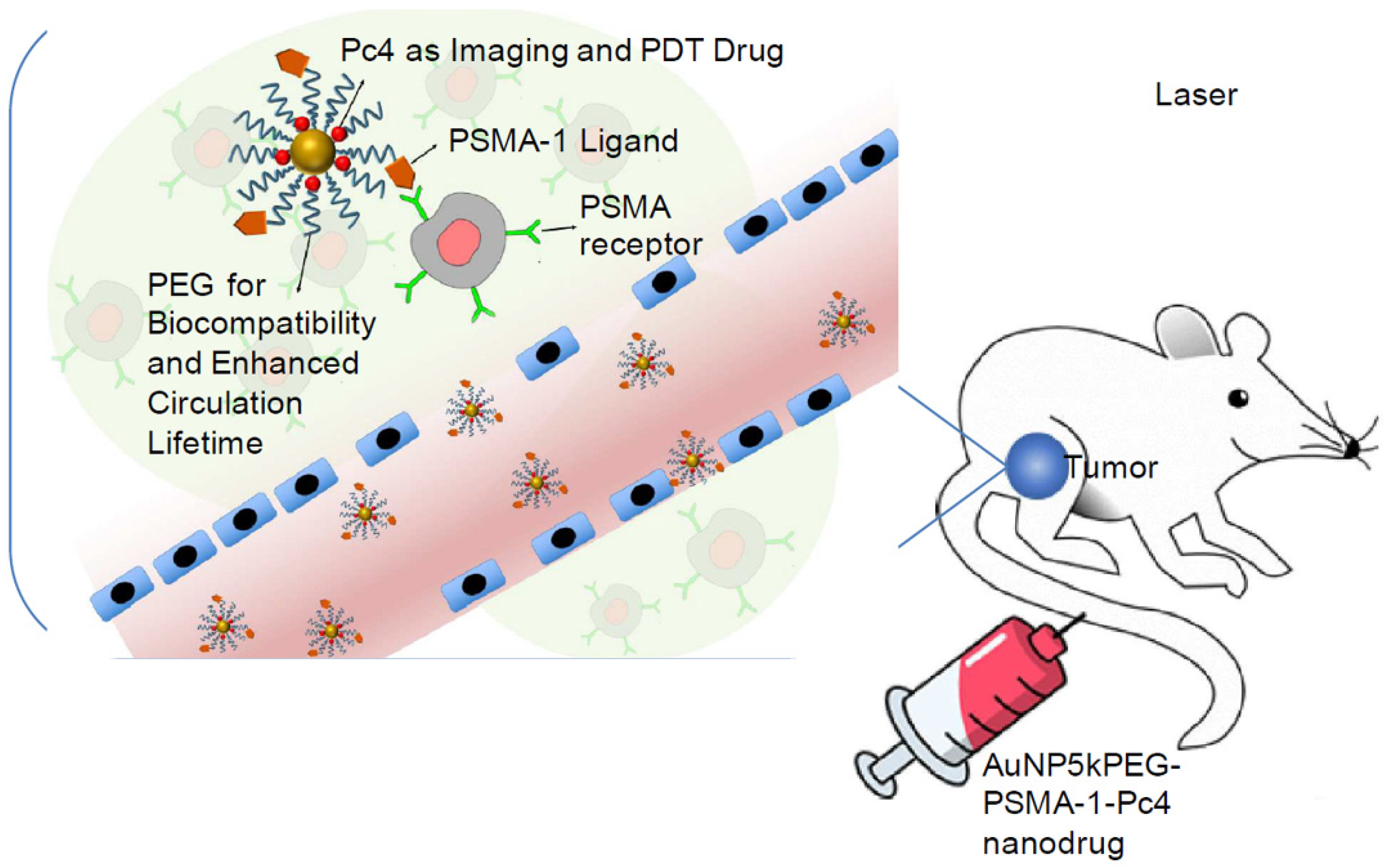 Ijms 23 07400 g009 Ijms 23 07400 g009