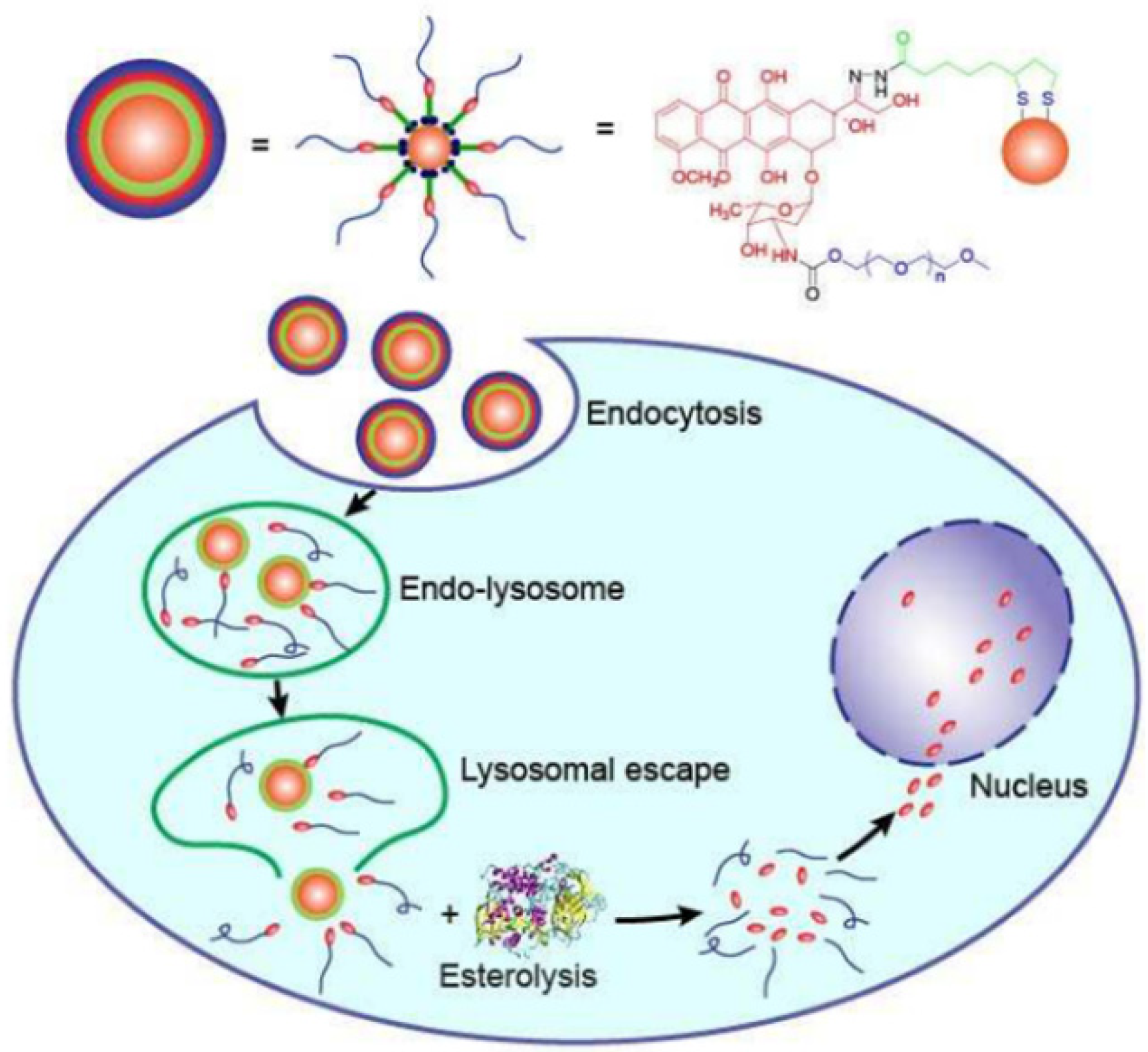 Ijms 23 07400 g012 Ijms 23 07400 g012