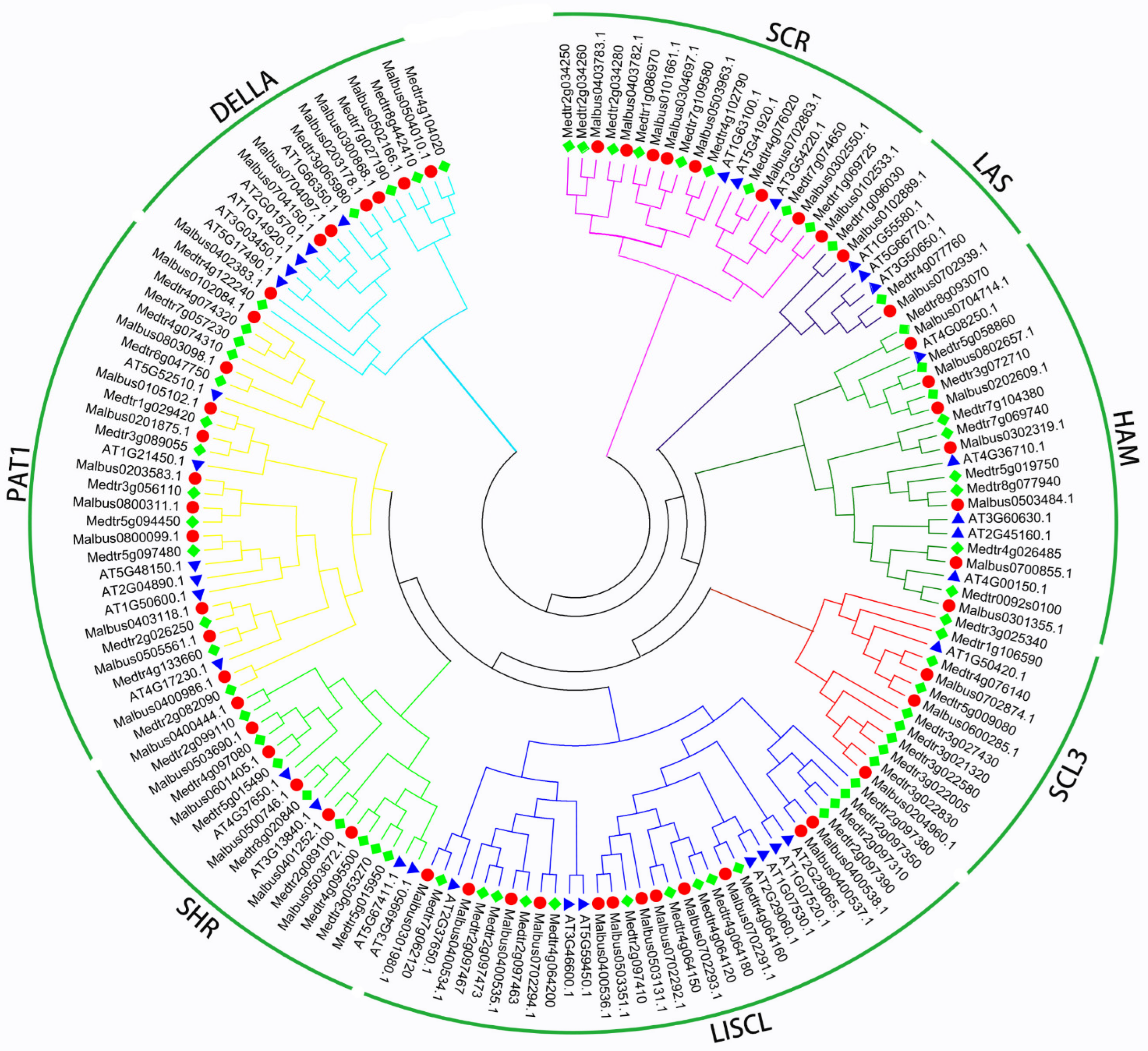 Ijms 23 07403 g001 550