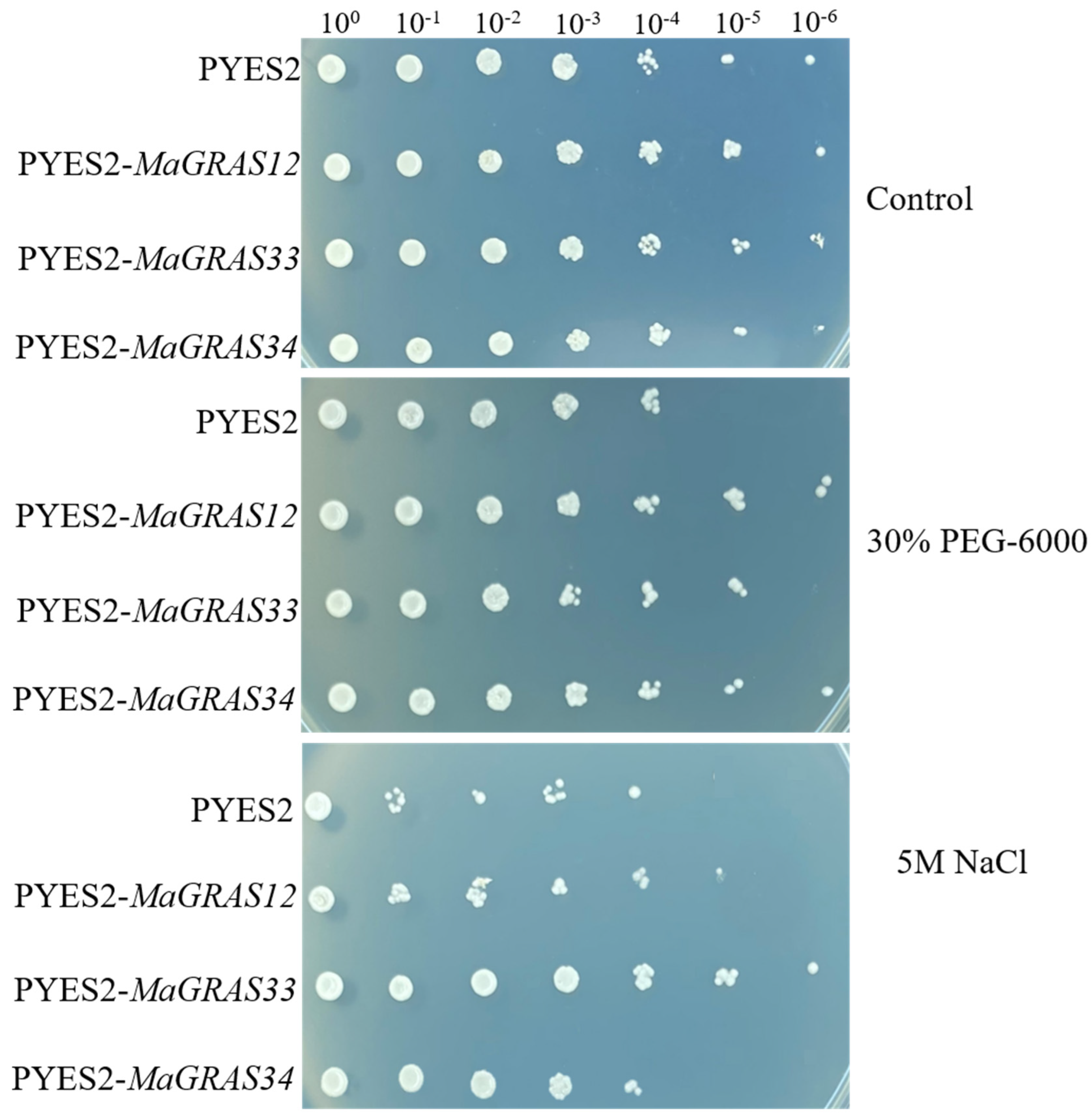 Ijms 23 07403 g009 550