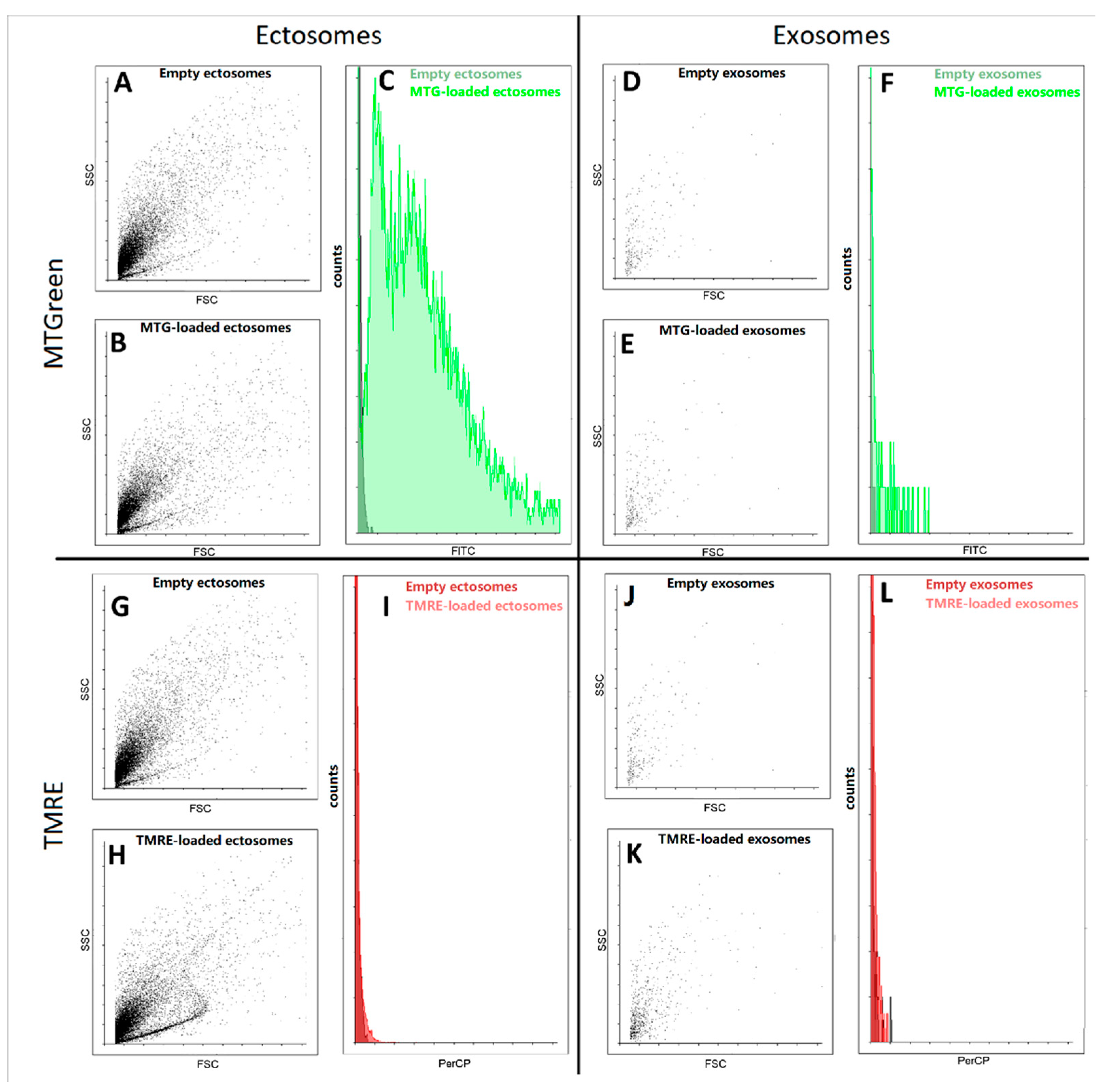 Ijms 23 07408 g006 550