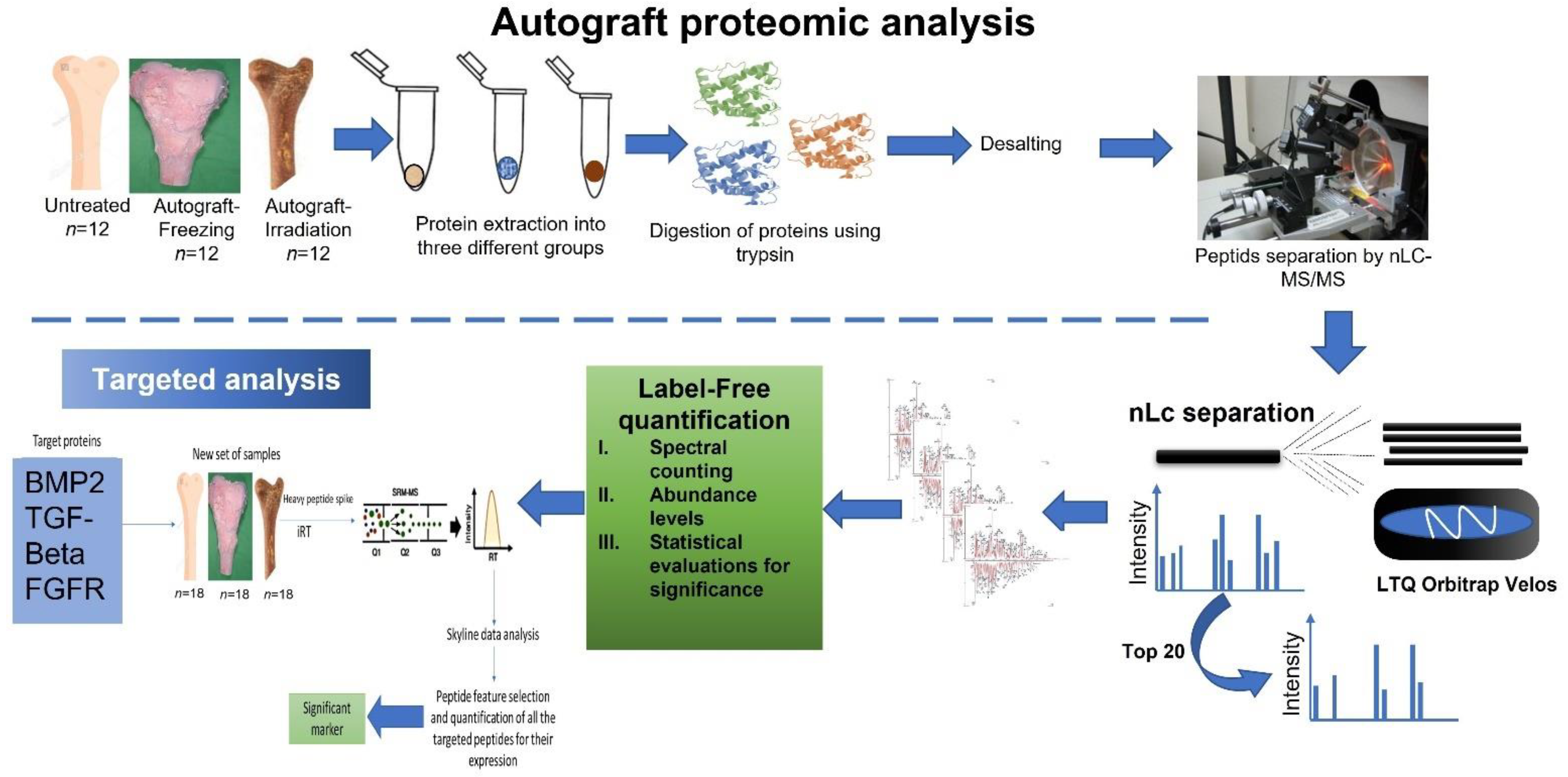 Ijms 23 07409 g001 550