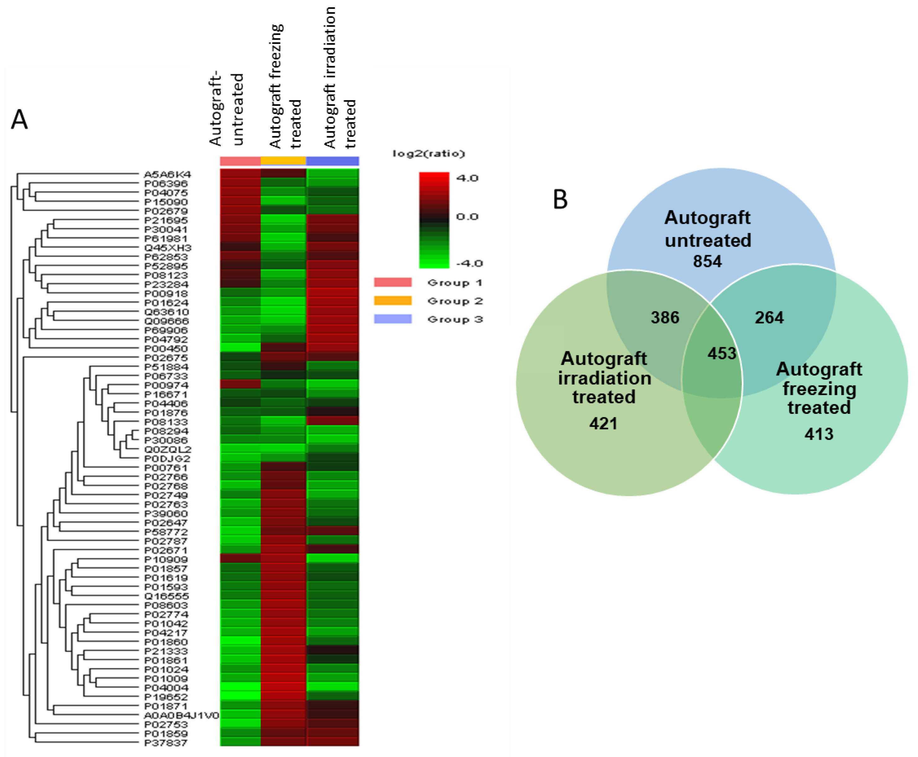 Ijms 23 07409 g002 550