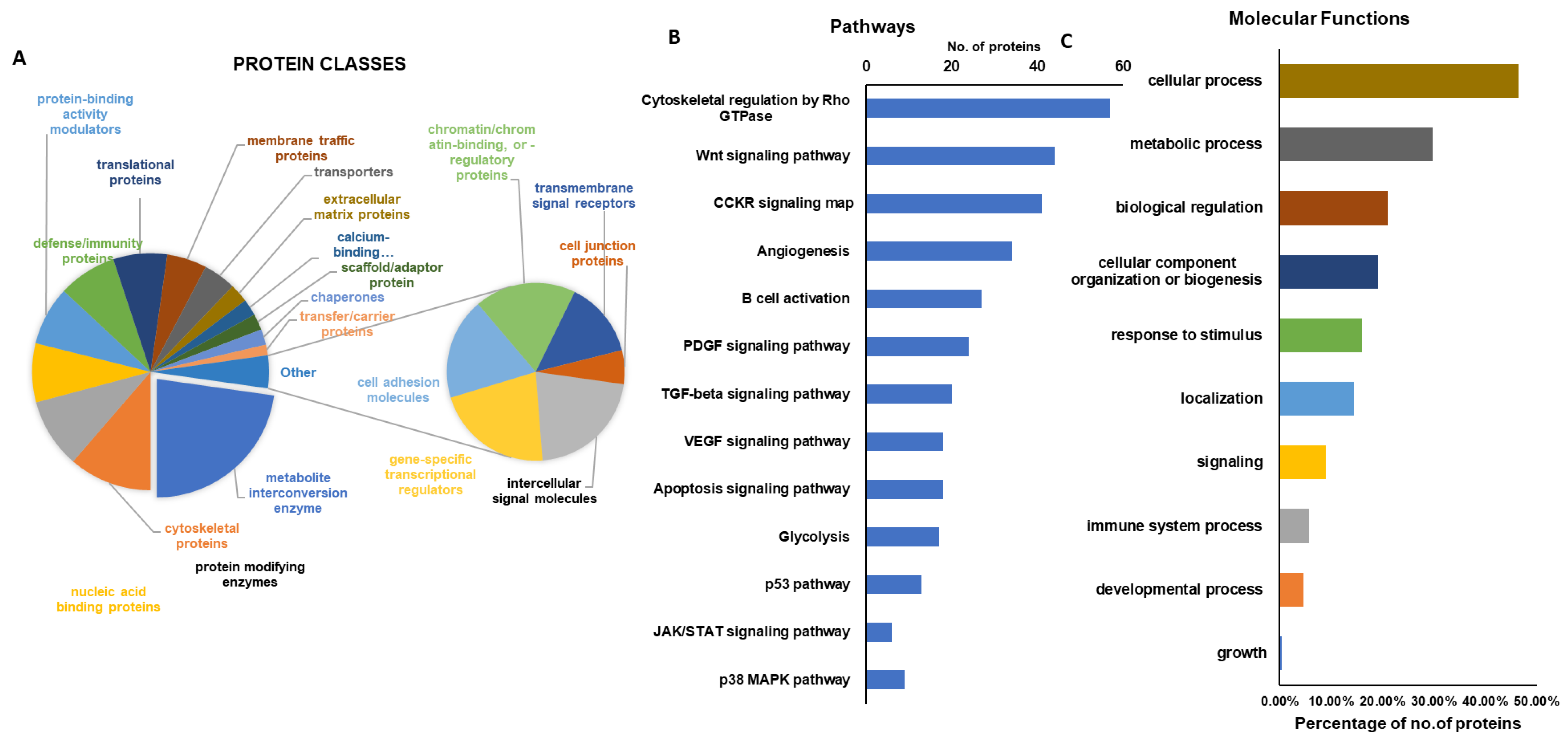Ijms 23 07409 g004 550