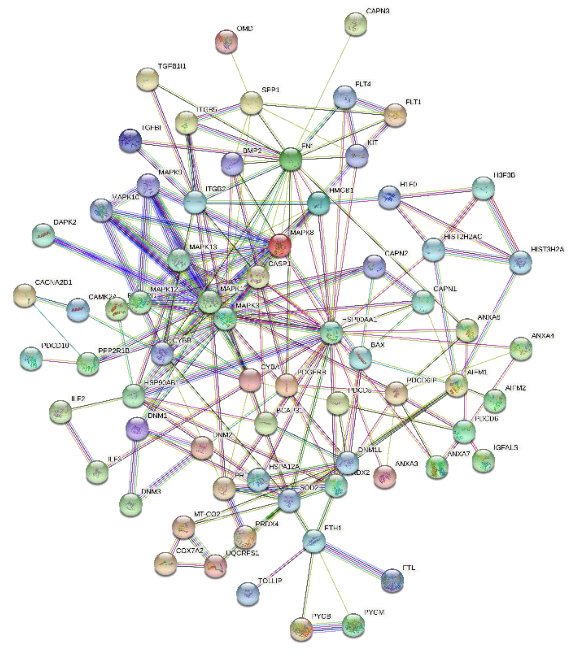 Ijms 23 07409 g005 550