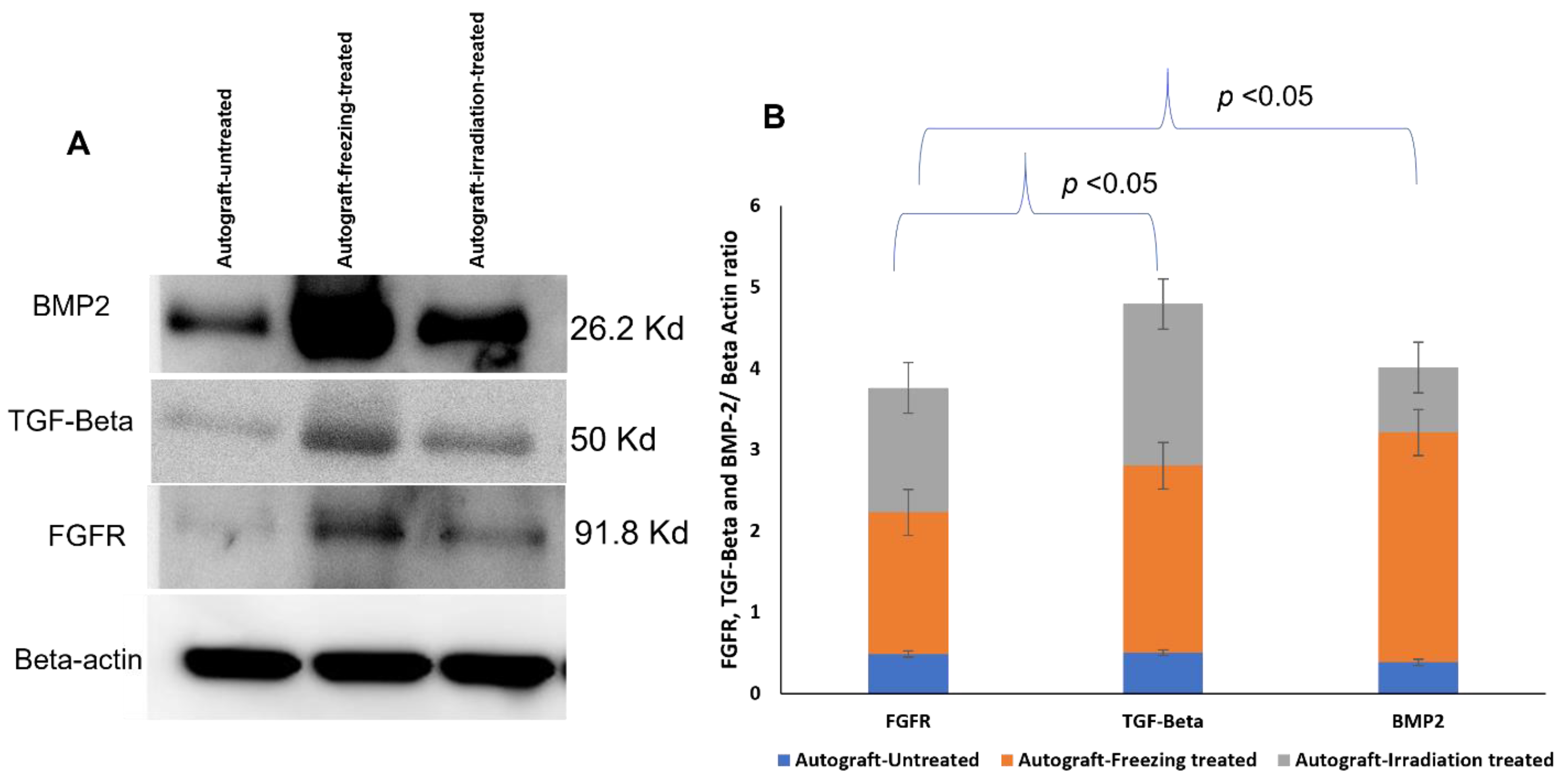 Ijms 23 07409 g008 550