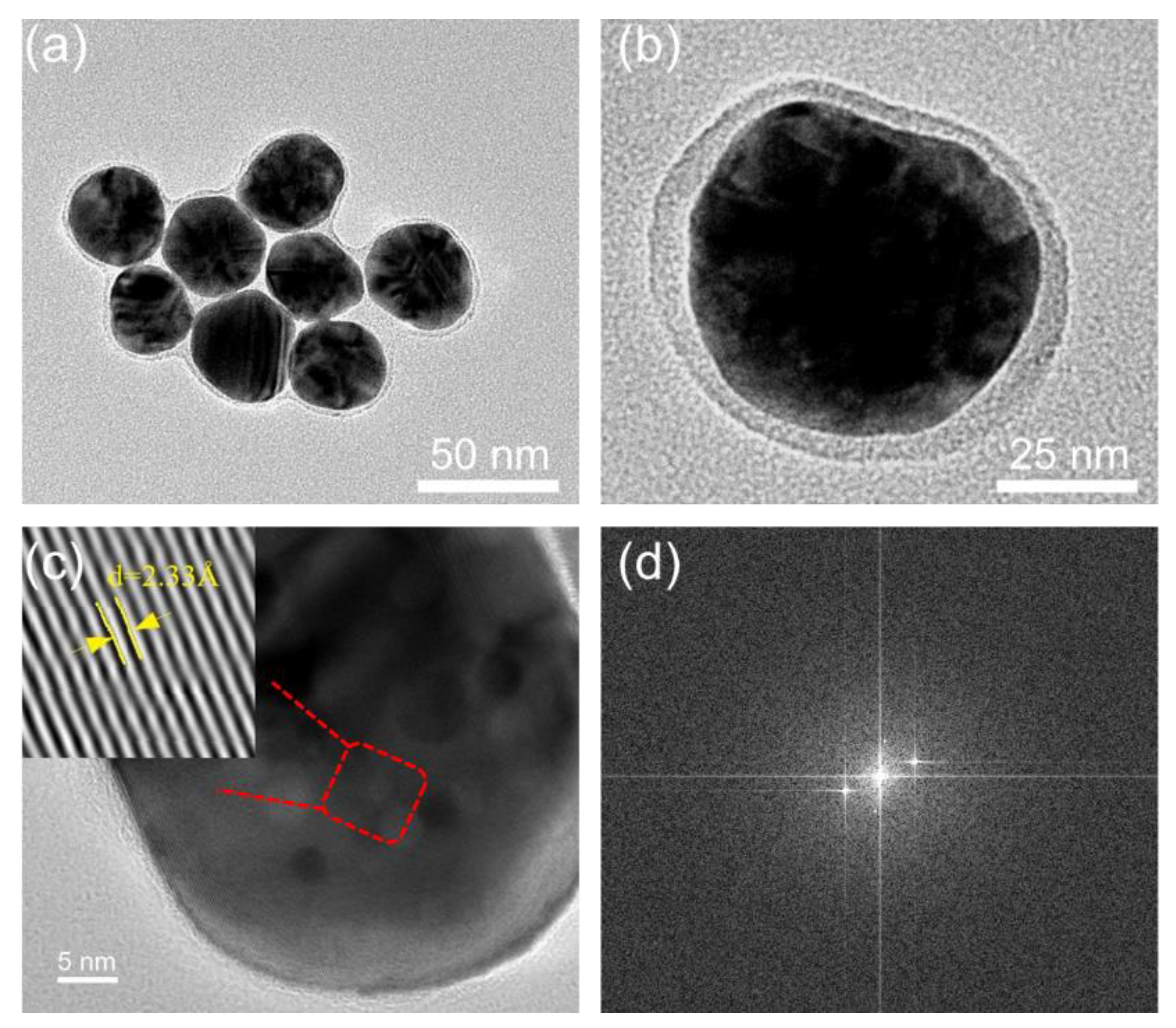 Ijms 23 07413 g002 550