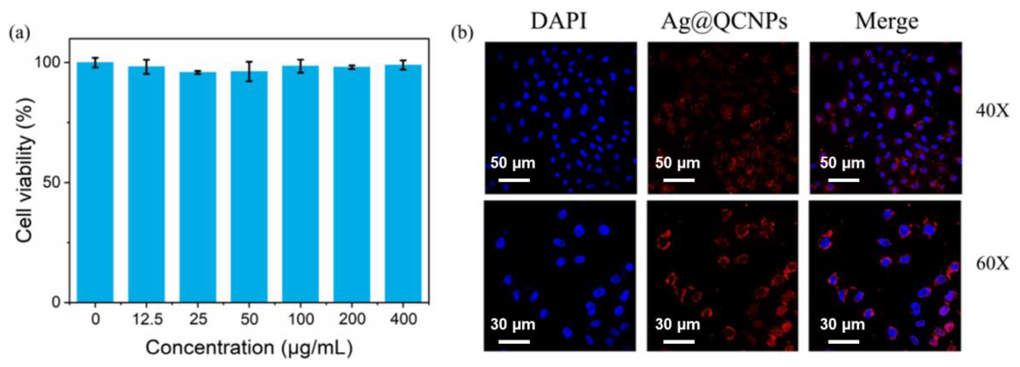 Ijms 23 07413 g005 550