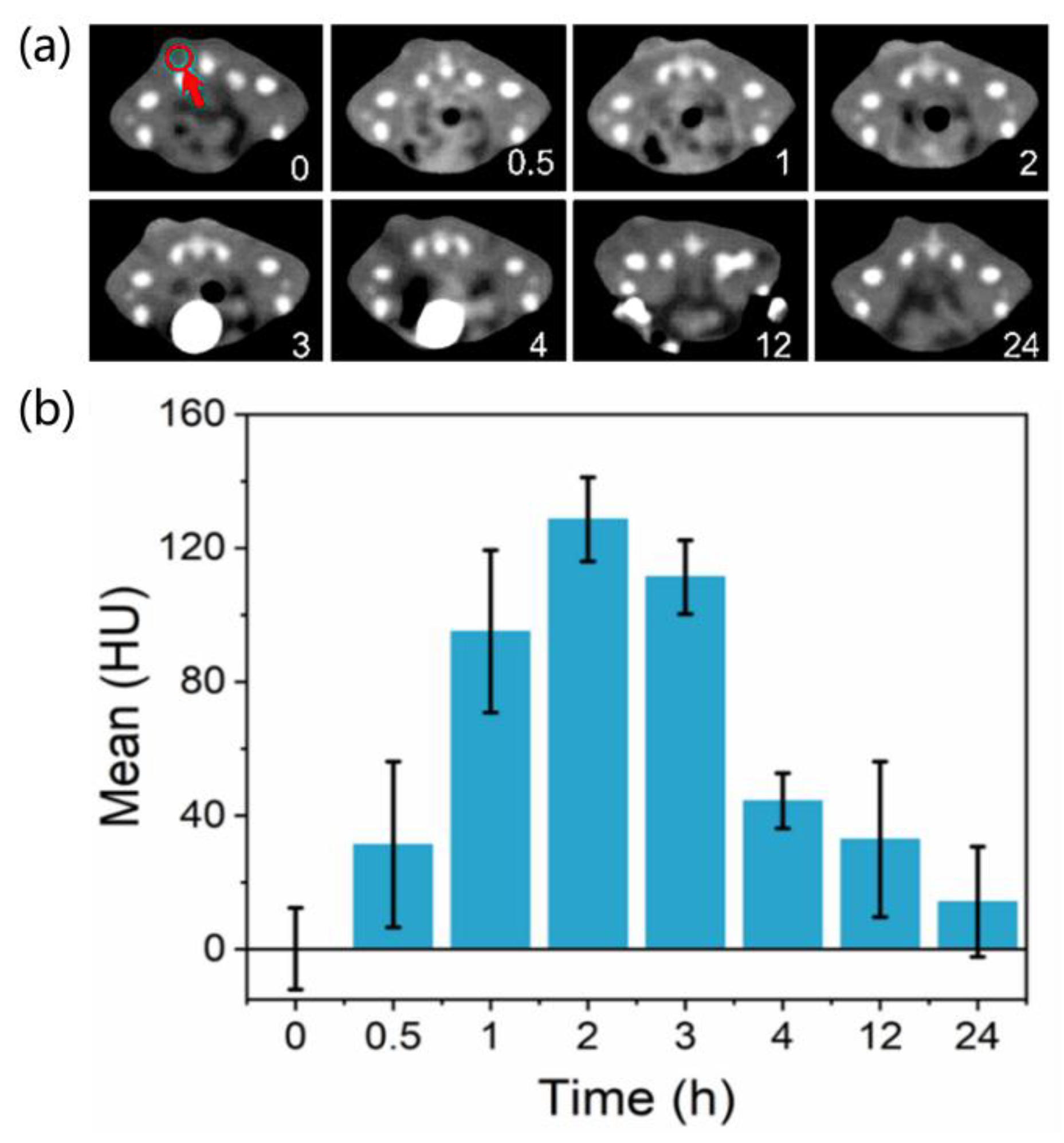 Ijms 23 07413 g006 550