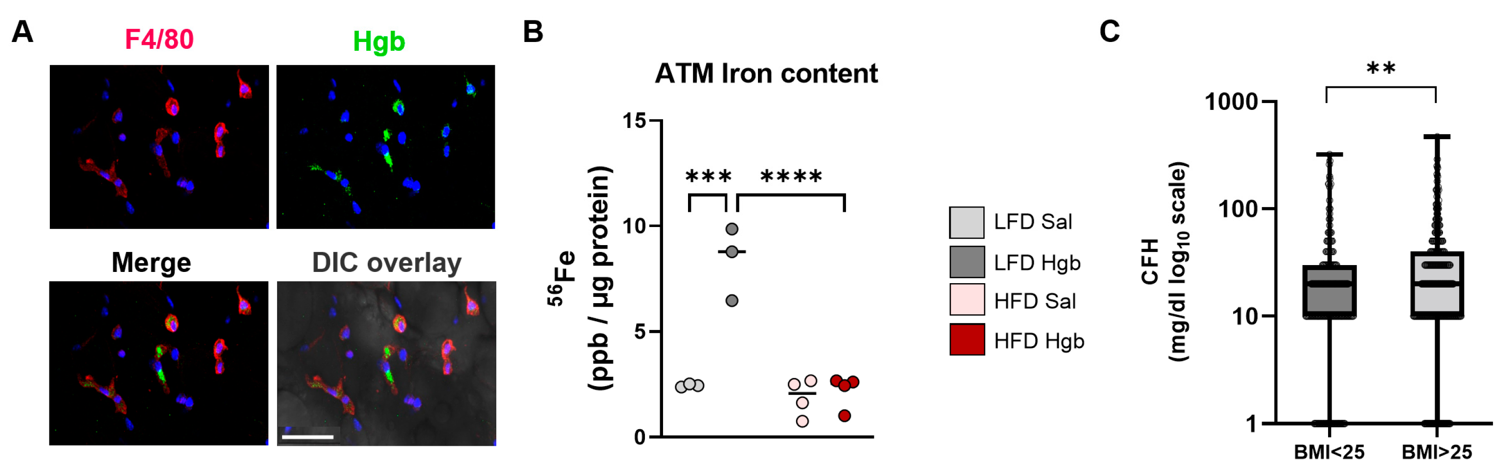Ijms 23 07417 g002 550