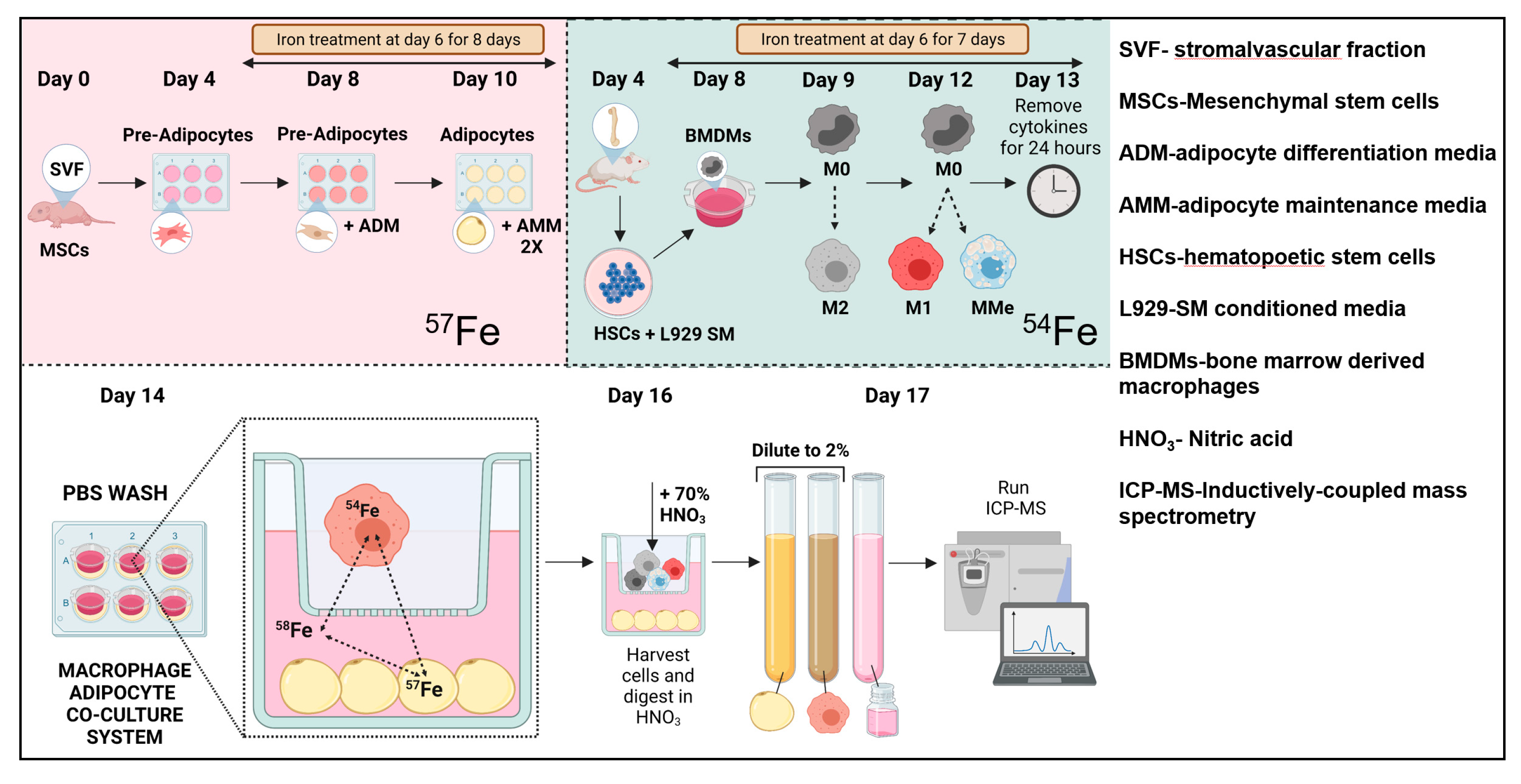 Ijms 23 07417 g005 550