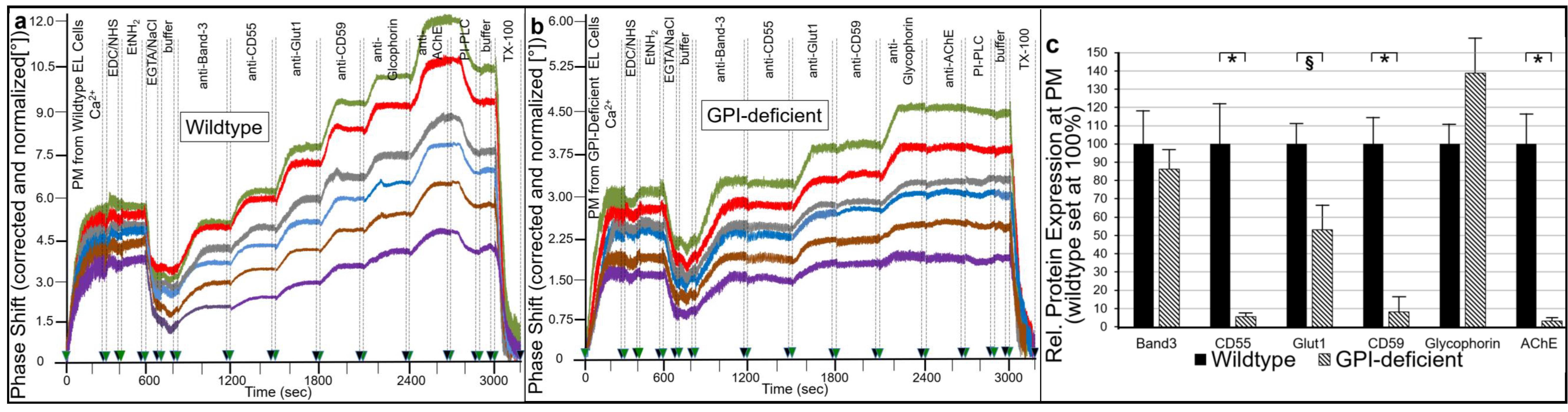 Ijms 23 07418 g001 Ijms 23 07418 g001