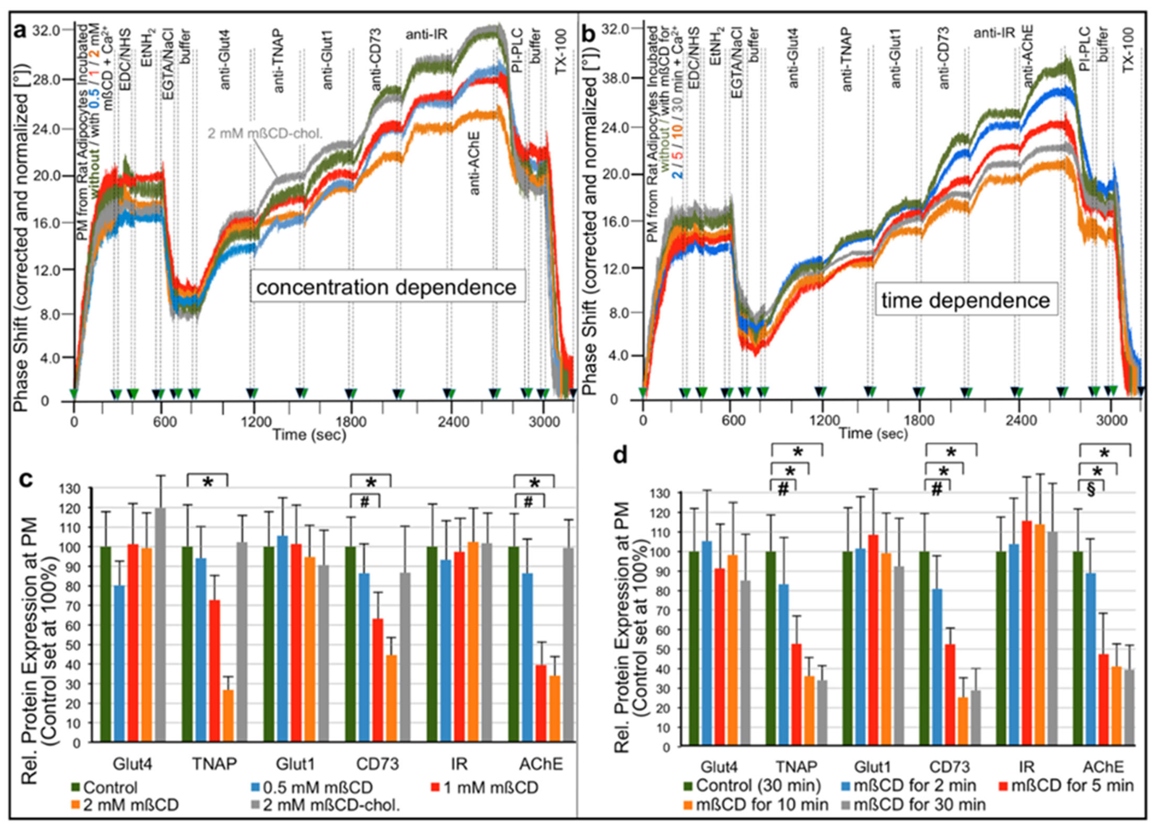 Ijms 23 07418 g003 Ijms 23 07418 g003