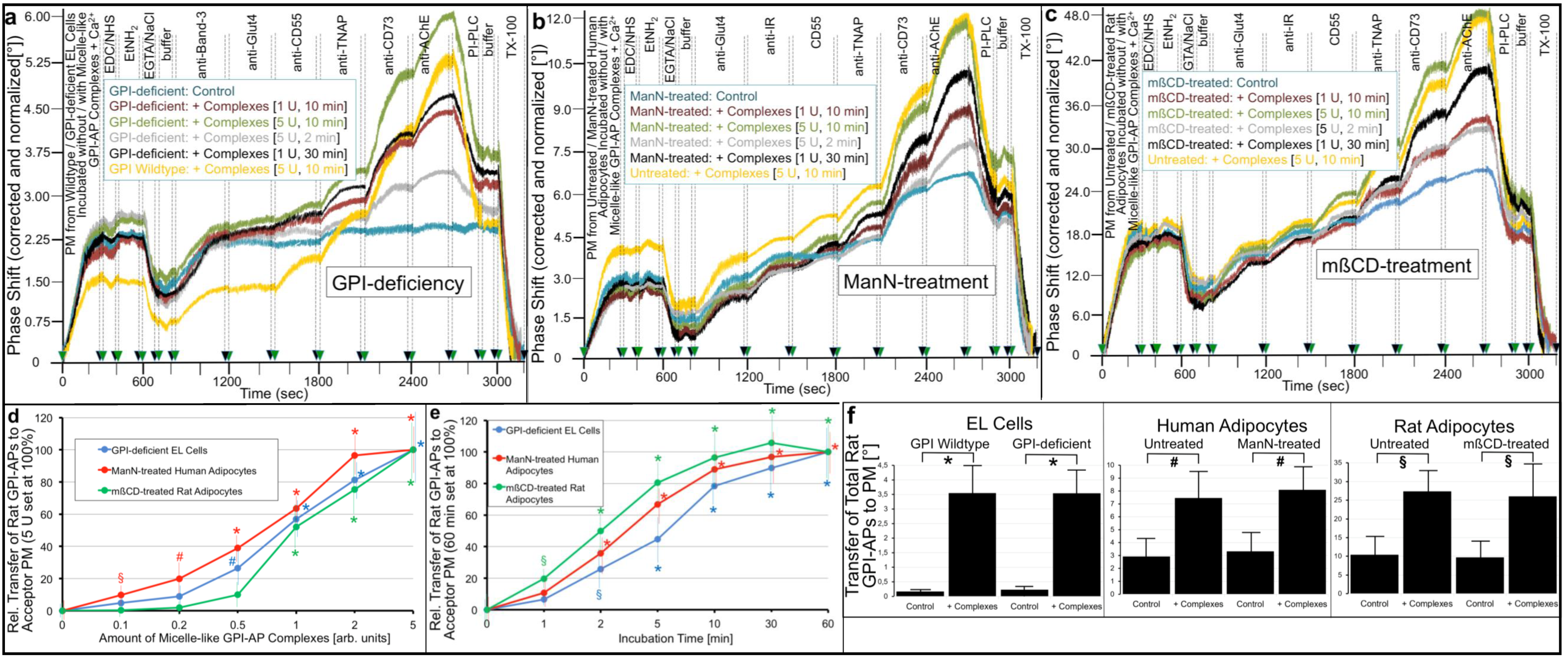 Ijms 23 07418 g004 Ijms 23 07418 g004