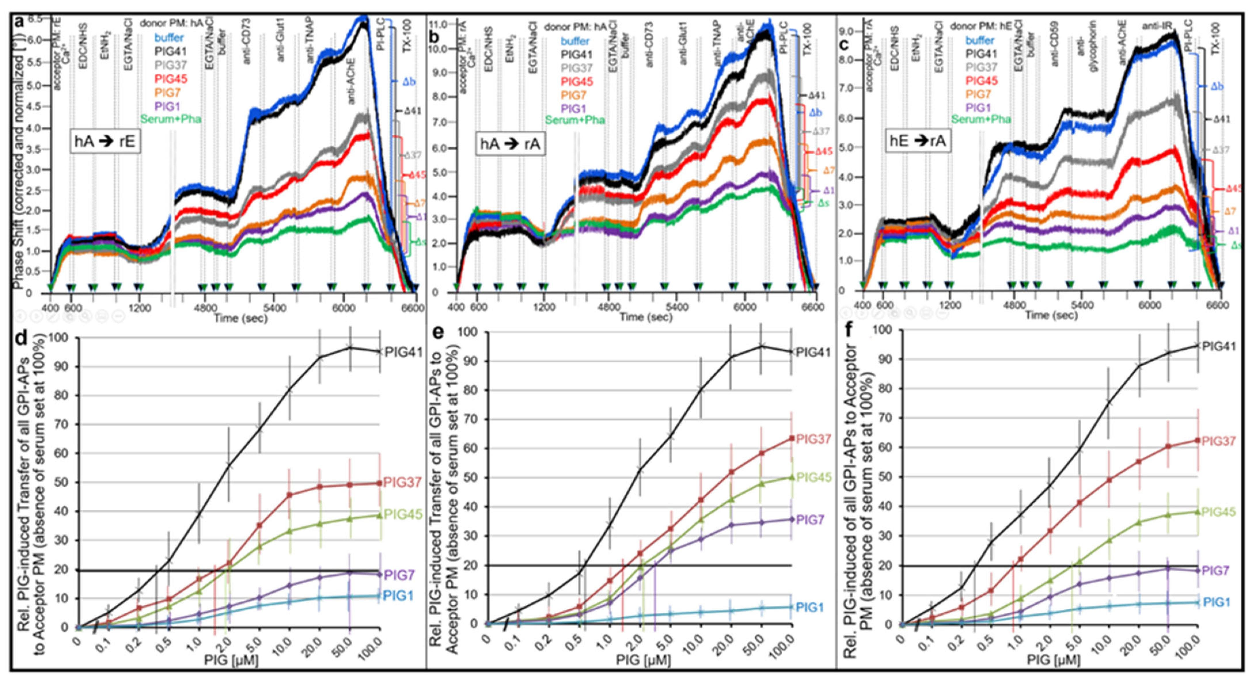 Ijms 23 07418 g005 Ijms 23 07418 g005