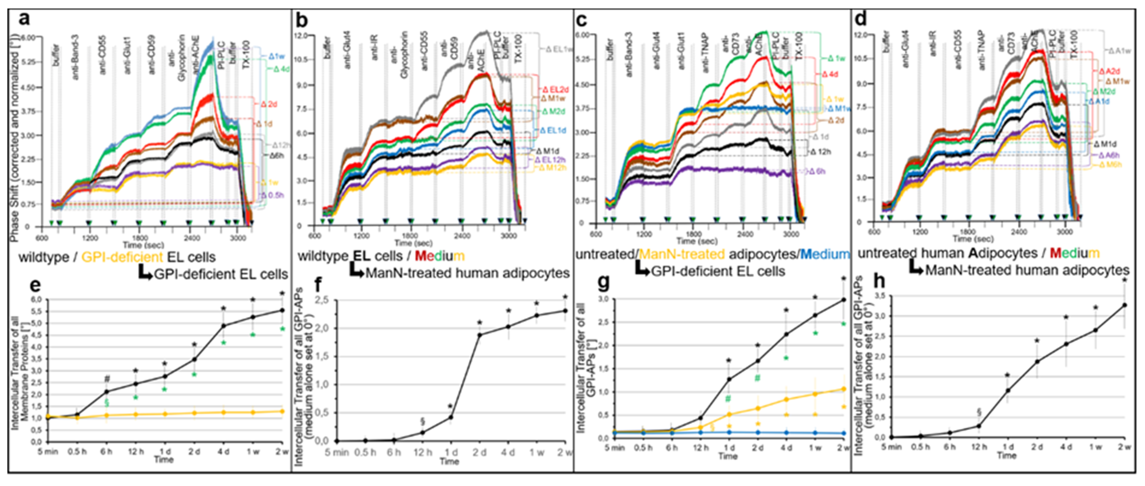 Ijms 23 07418 g008 Ijms 23 07418 g008