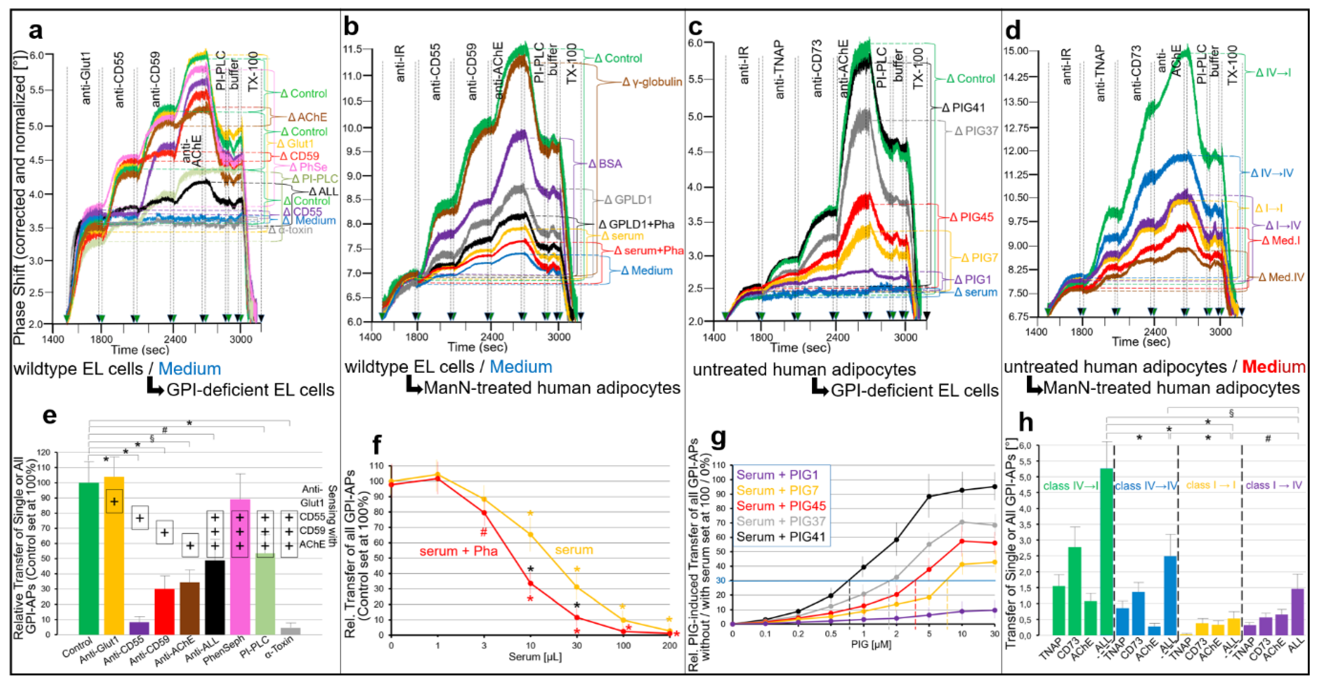 Ijms 23 07418 g009 Ijms 23 07418 g009