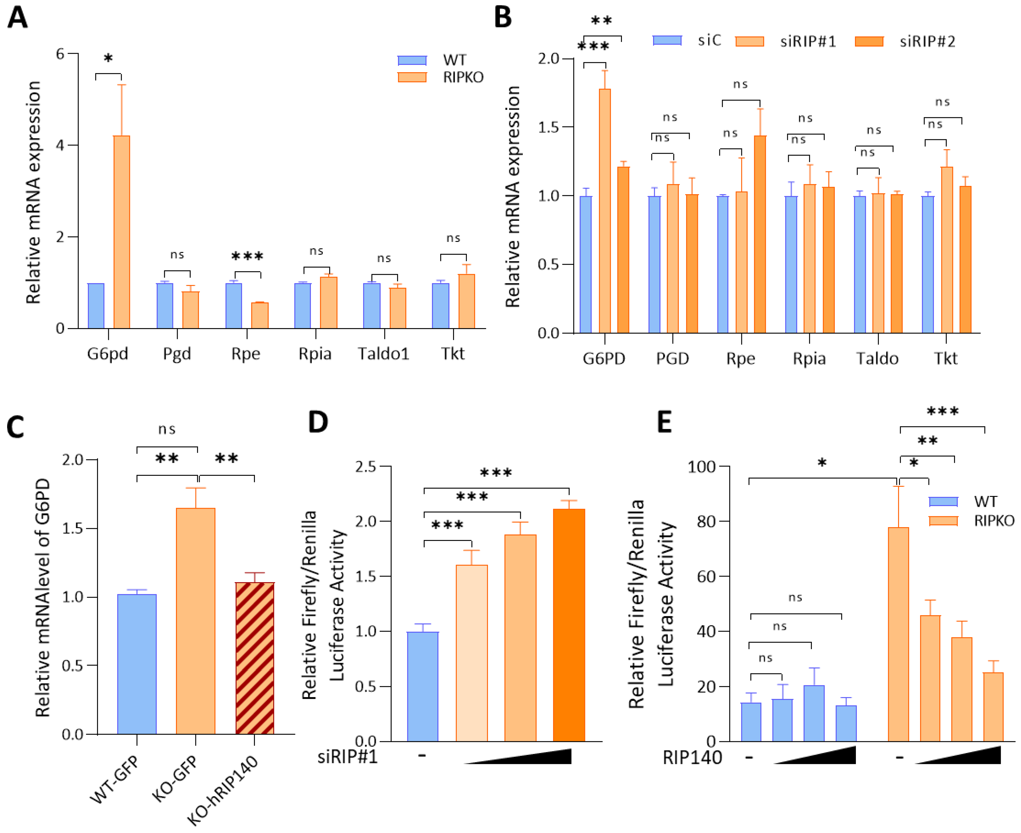 Ijms 23 07419 g001 550