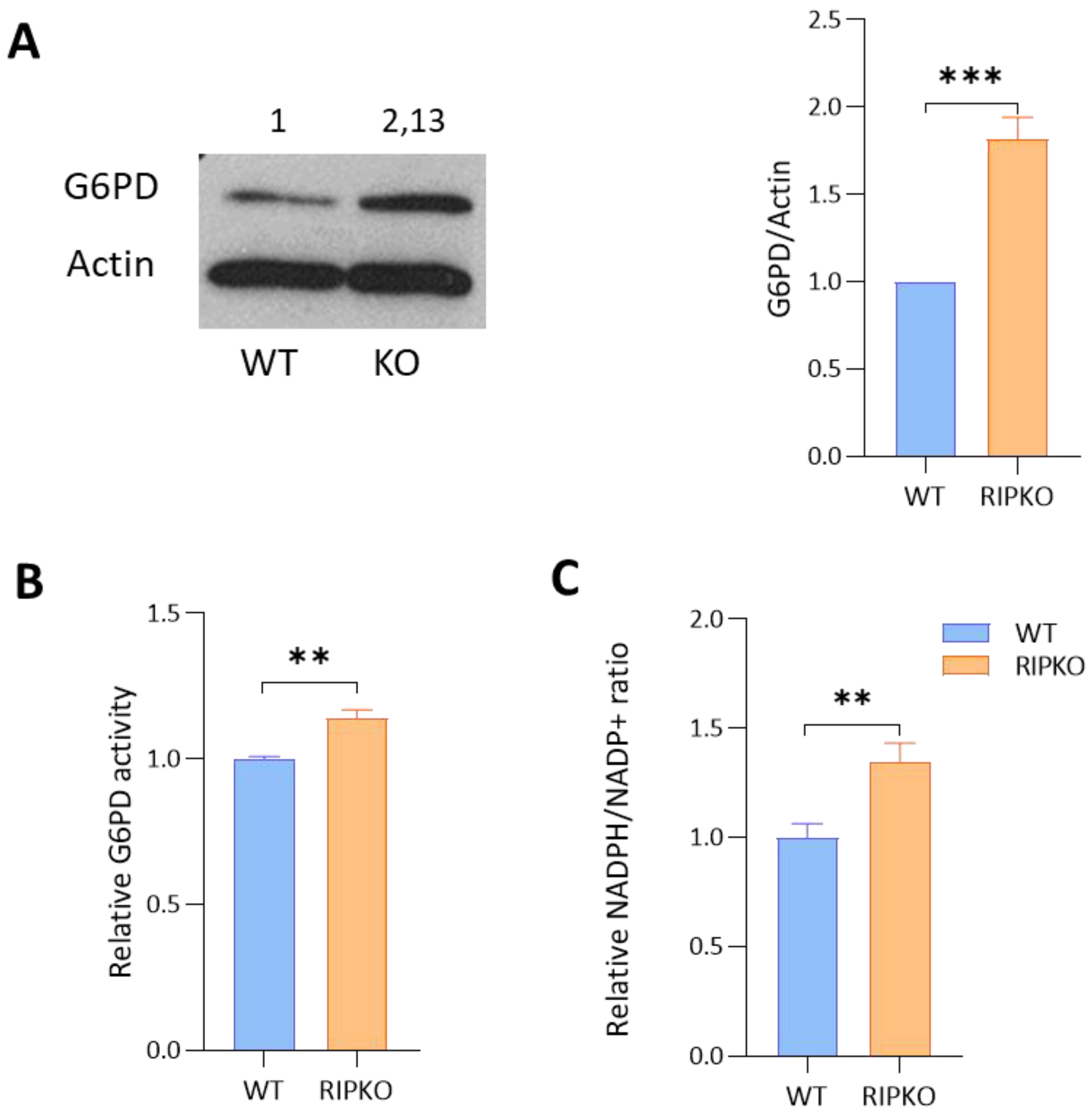 Ijms 23 07419 g002 550