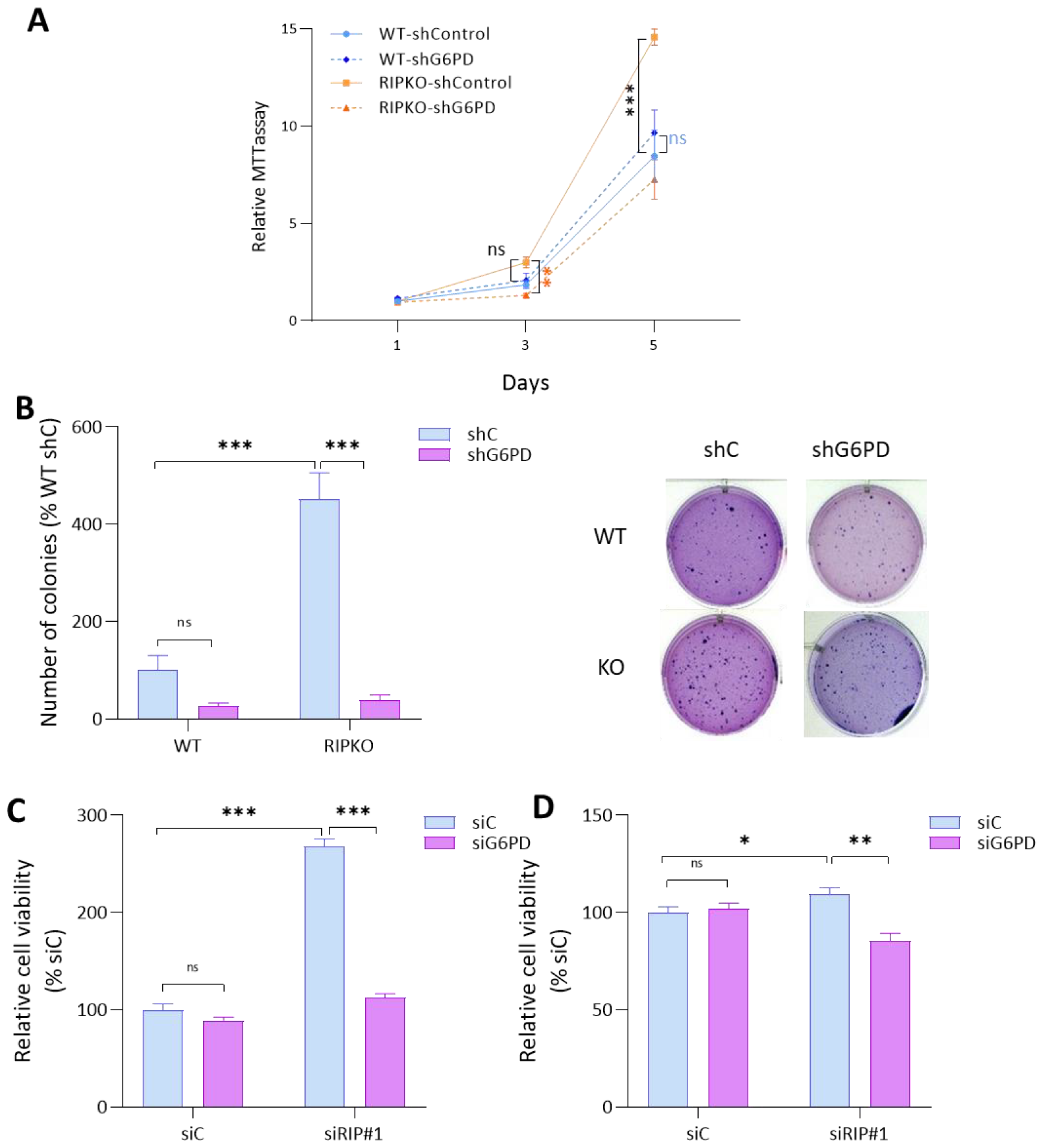 Ijms 23 07419 g003 550