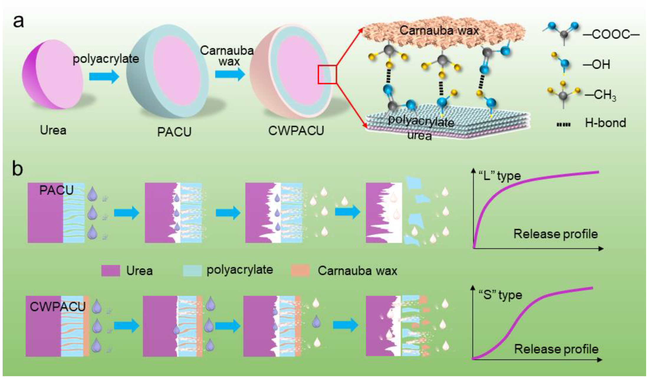 Ijms 23 07422 g008 550