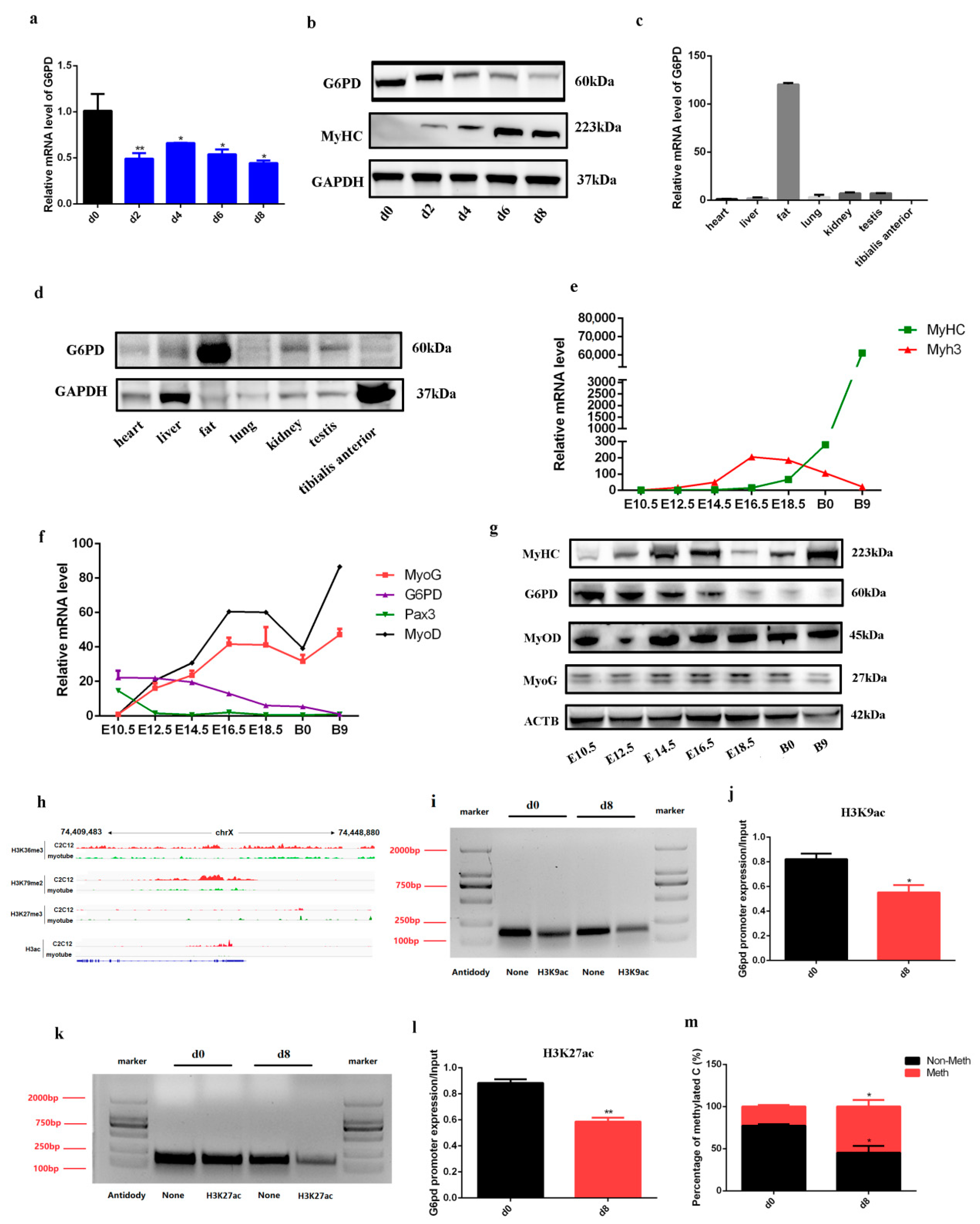 Ijms 23 07425 g001 550
