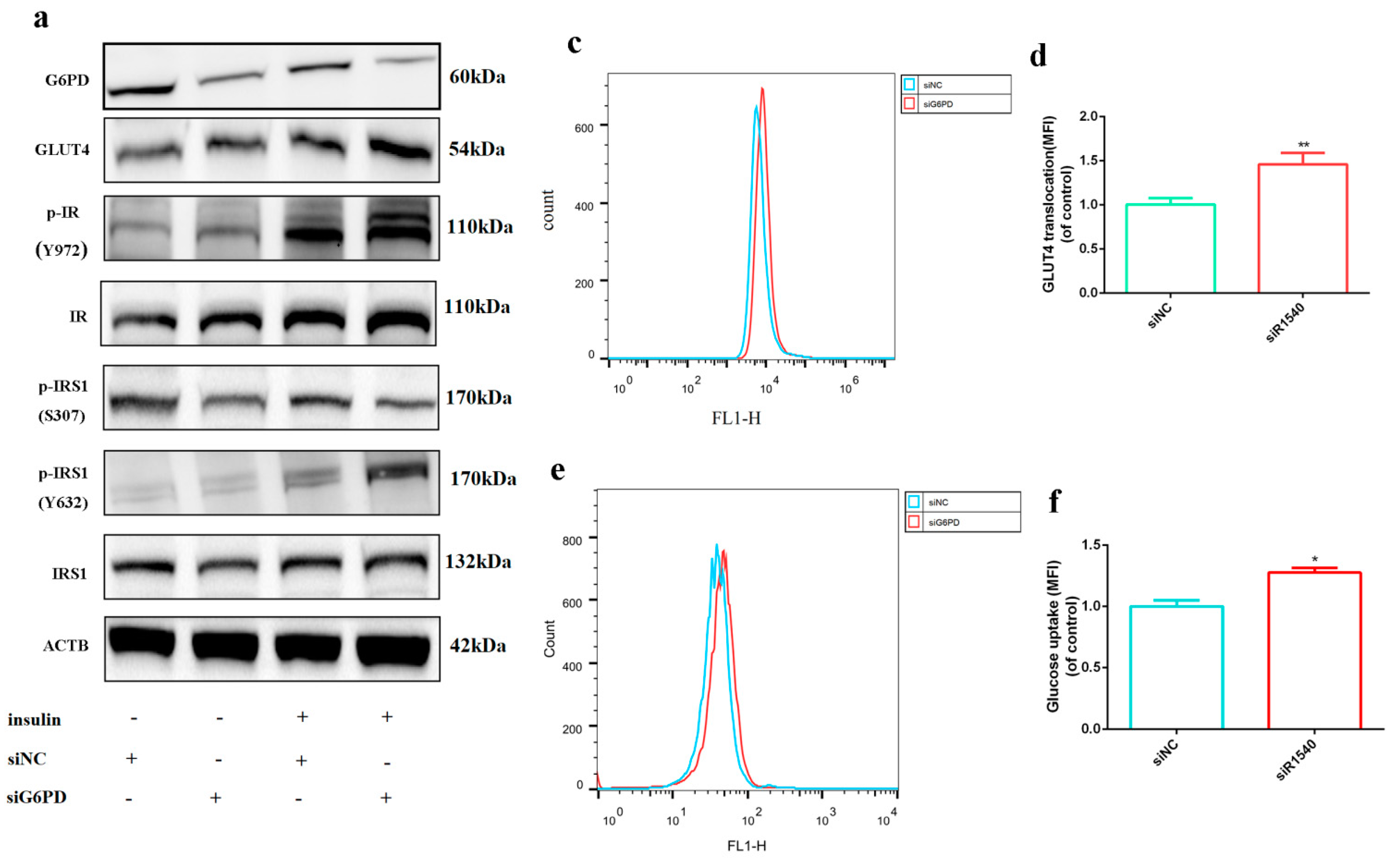 Ijms 23 07425 g003a 550