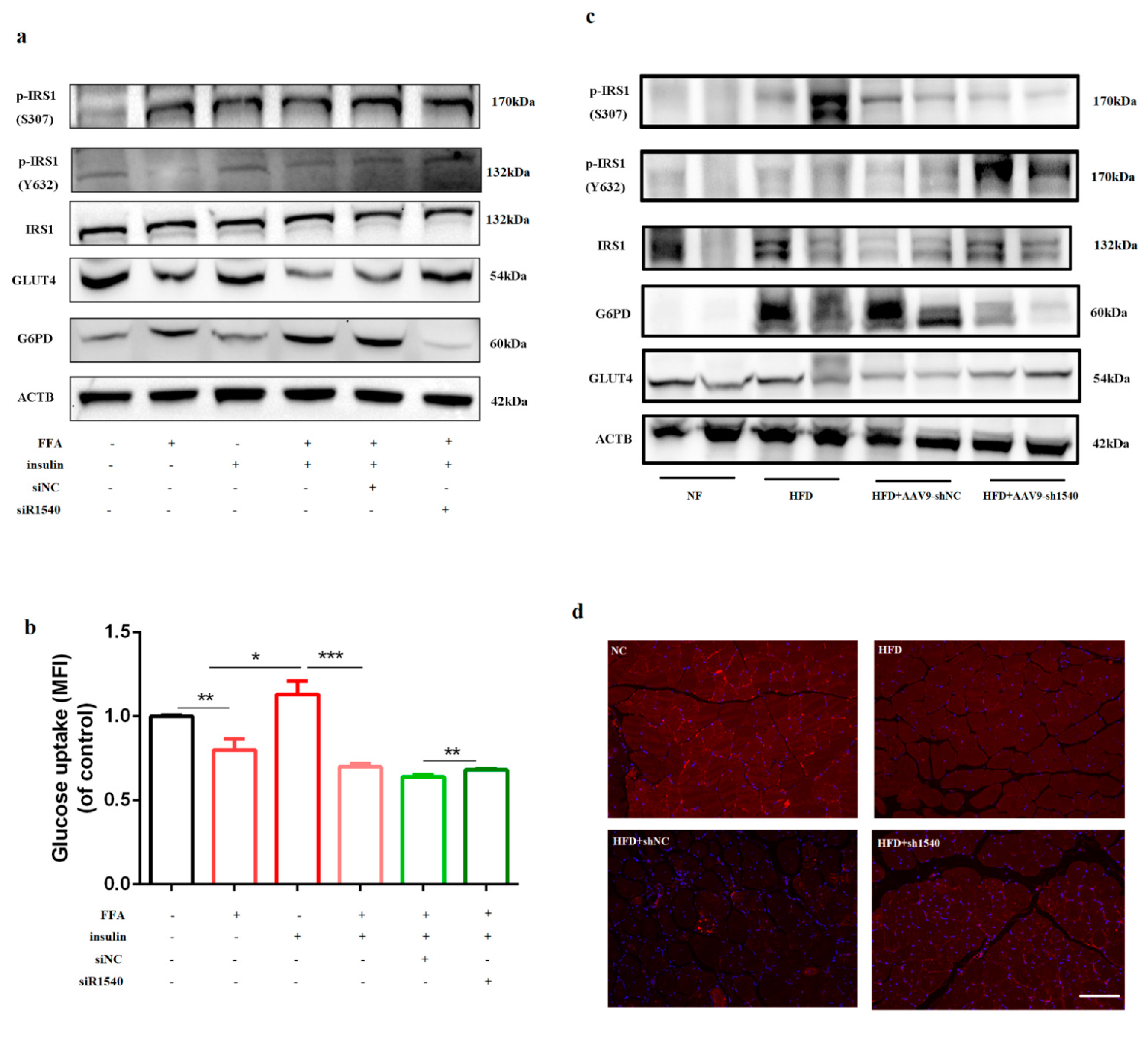 Ijms 23 07425 g006 550