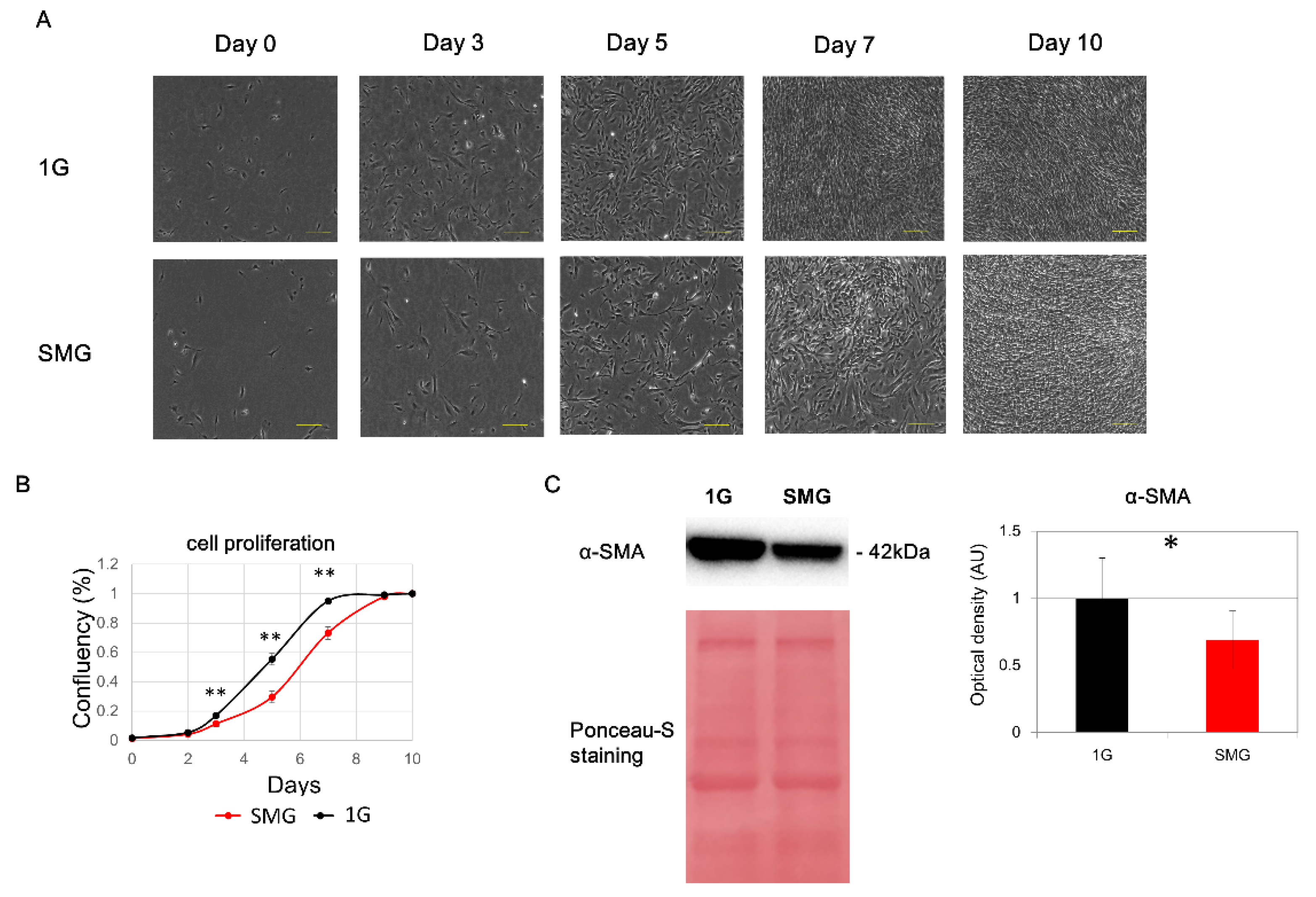 Ijms 23 07429 g001 550