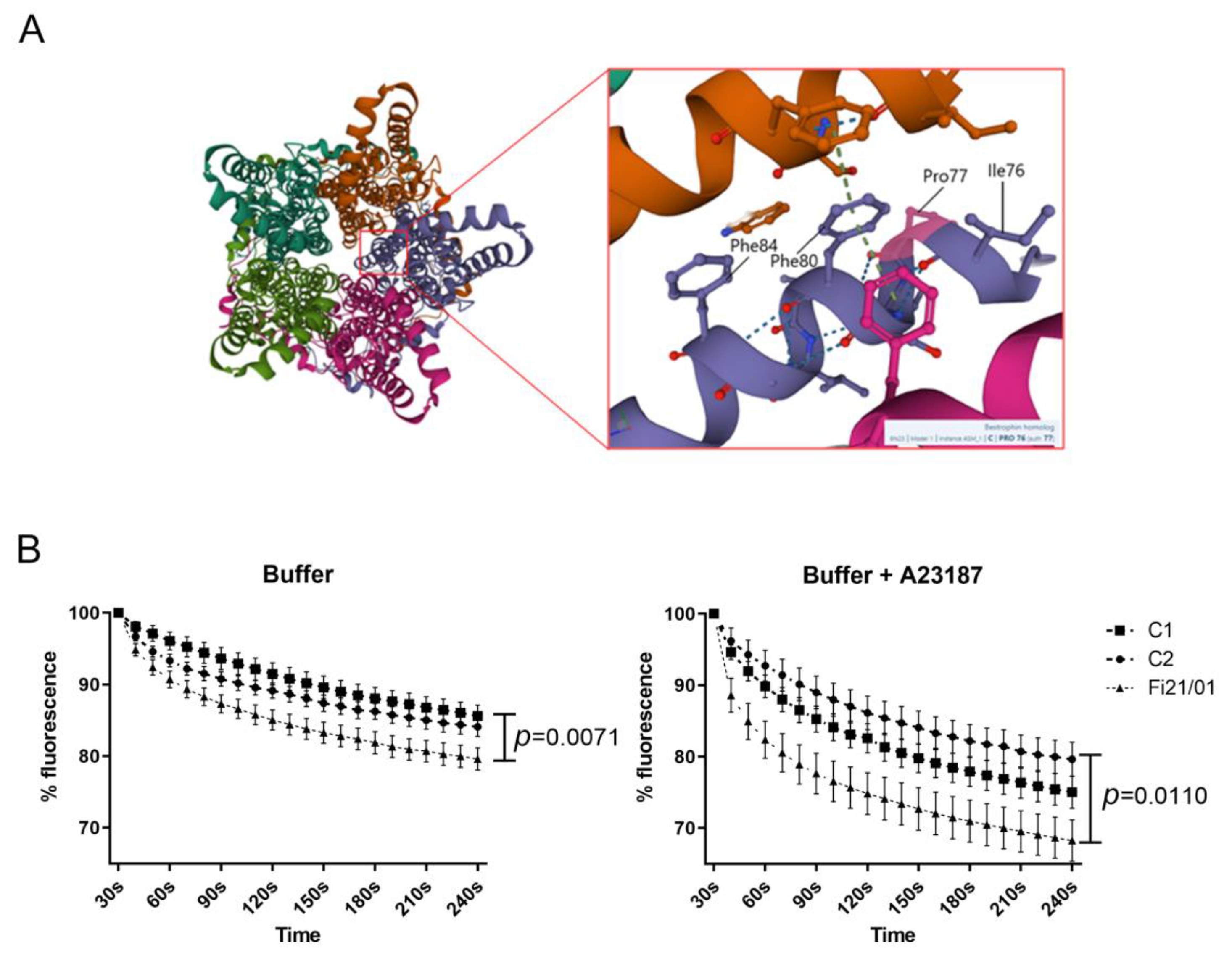 Ijms 23 07432 g005 550