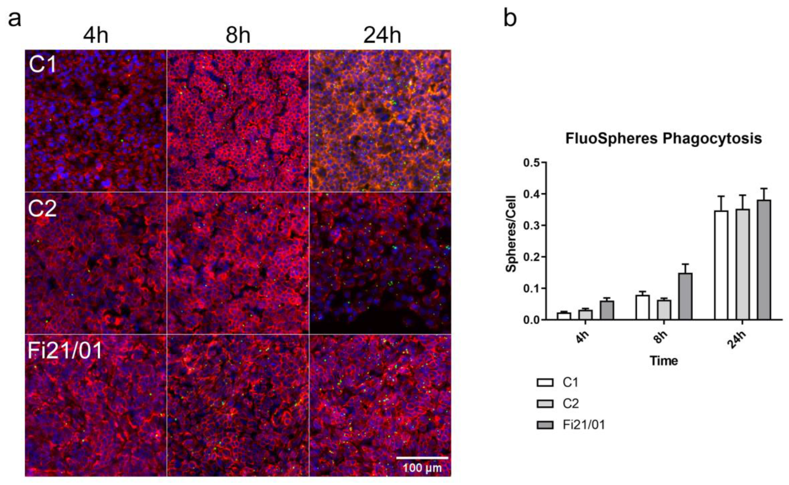 Ijms 23 07432 g006 550