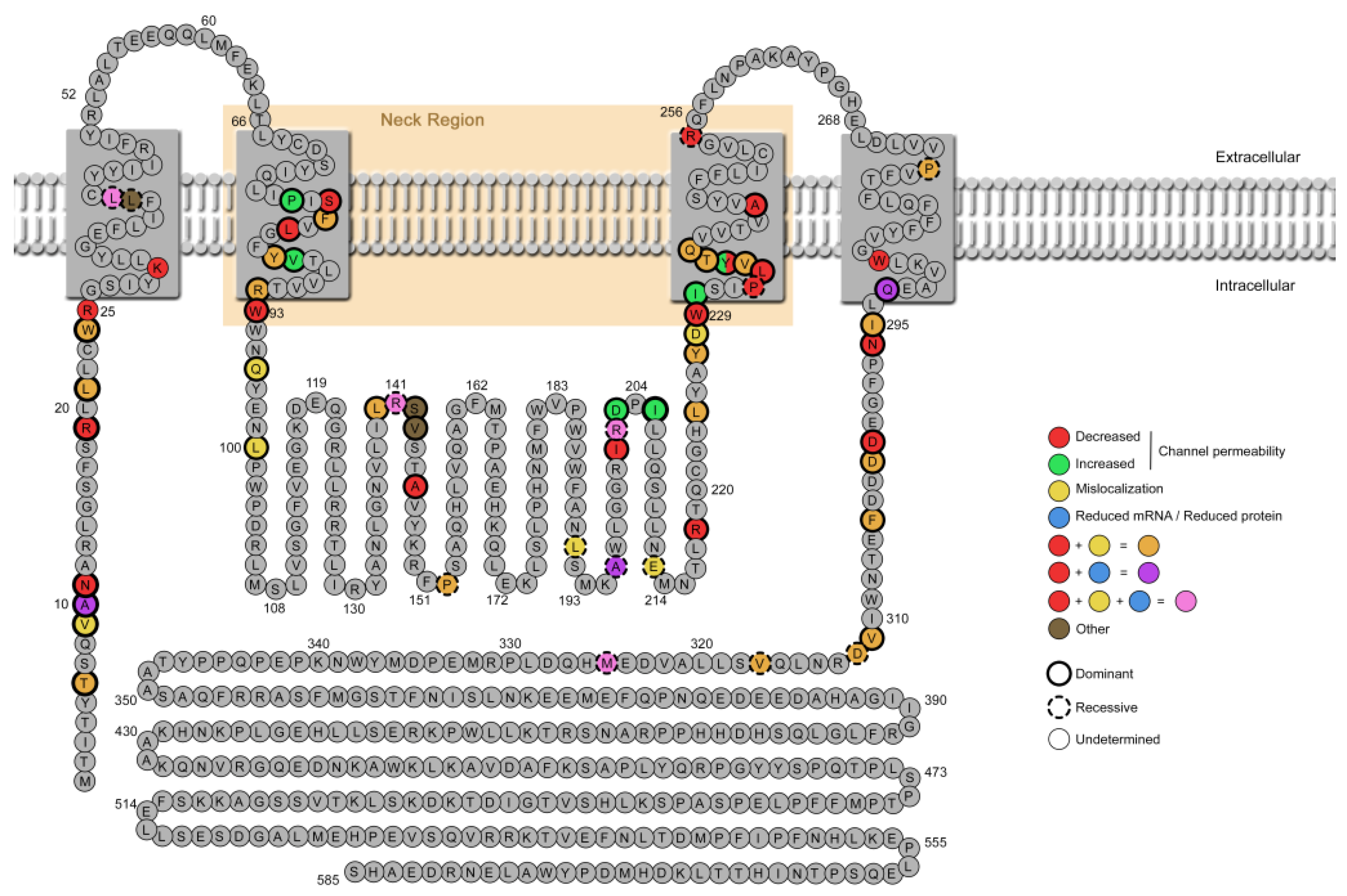 Ijms 23 07432 g007 550