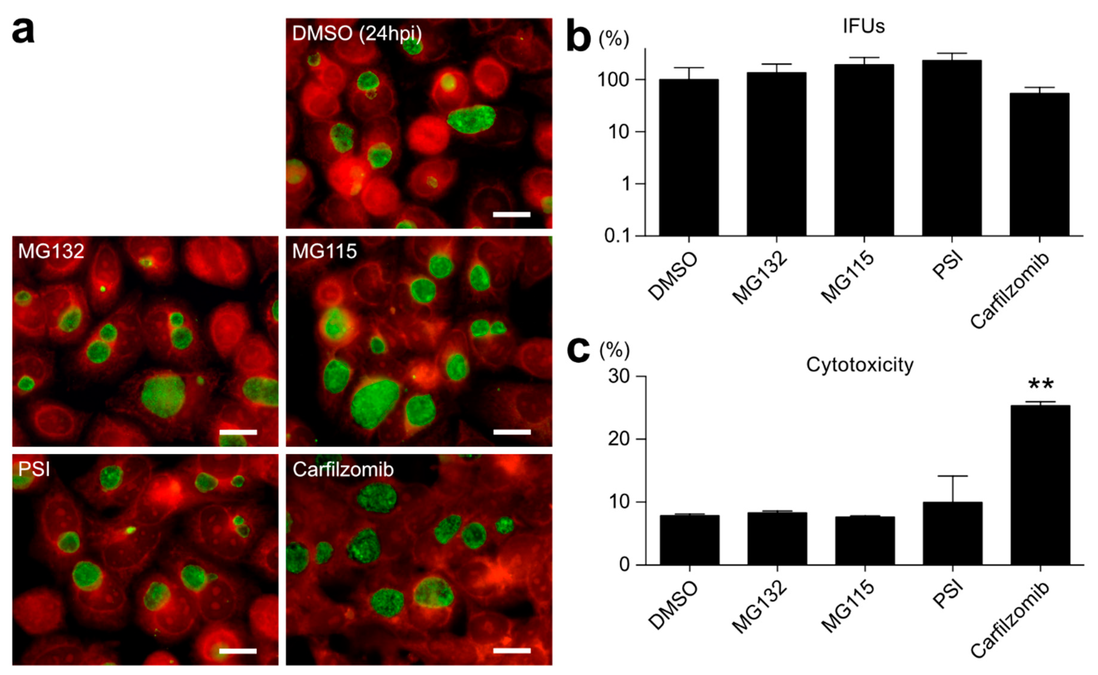 Ijms 23 07434 g002 550