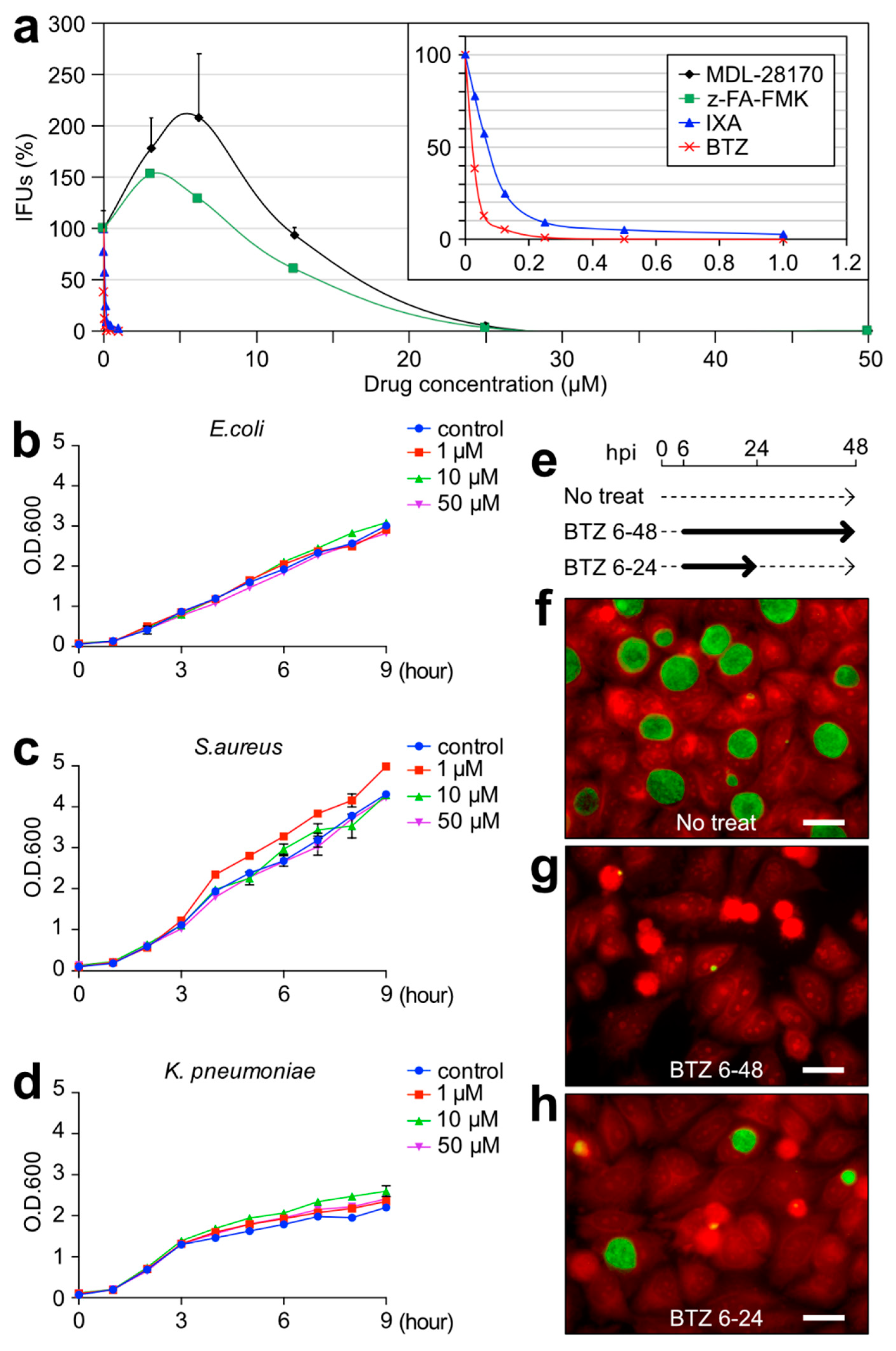Ijms 23 07434 g003 550
