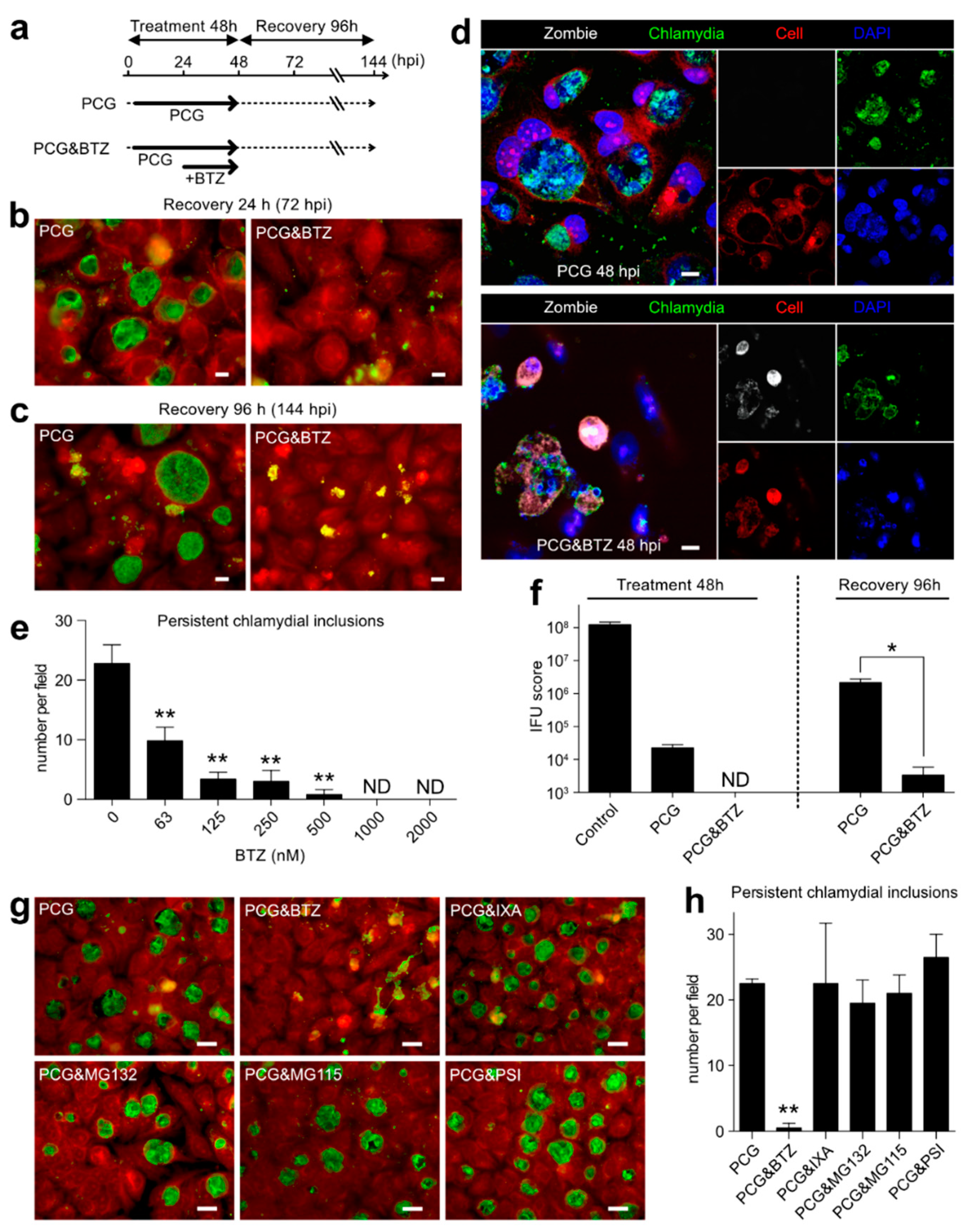 Ijms 23 07434 g005 550