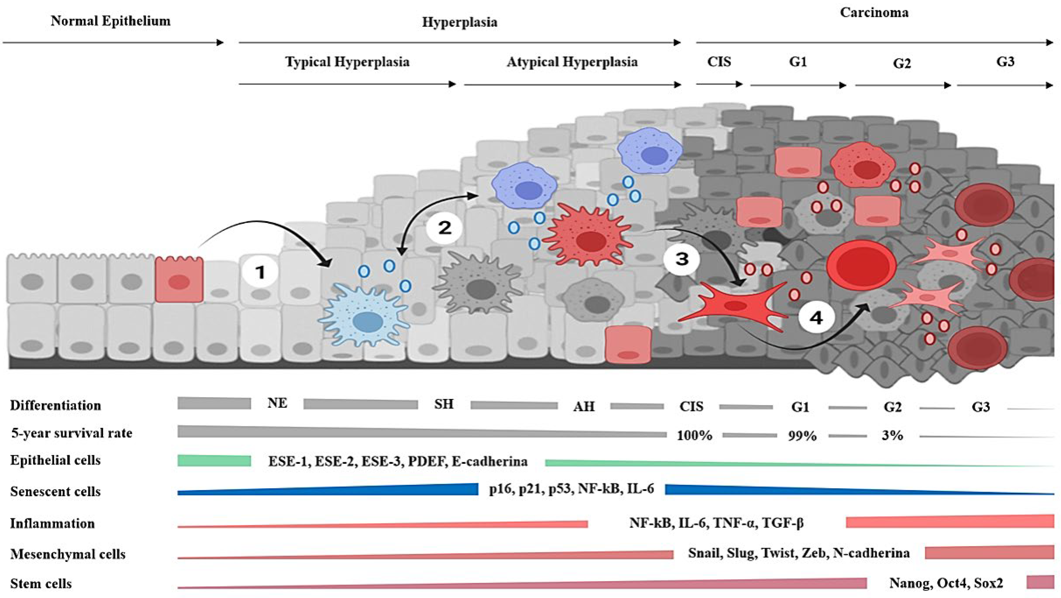 Ijms 23 07437 g002 Ijms 23 07437 g002