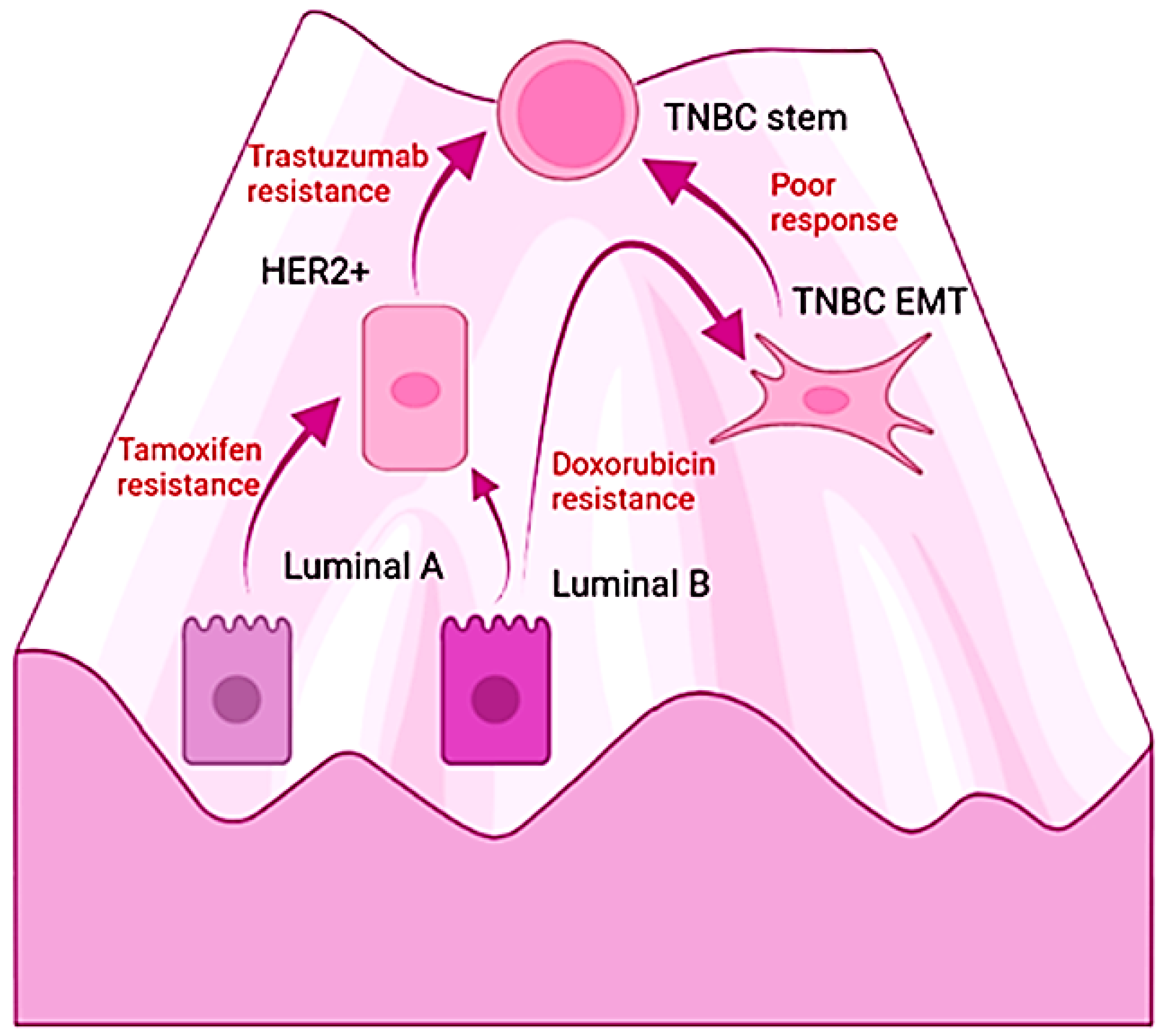 Ijms 23 07437 g003 Ijms 23 07437 g003