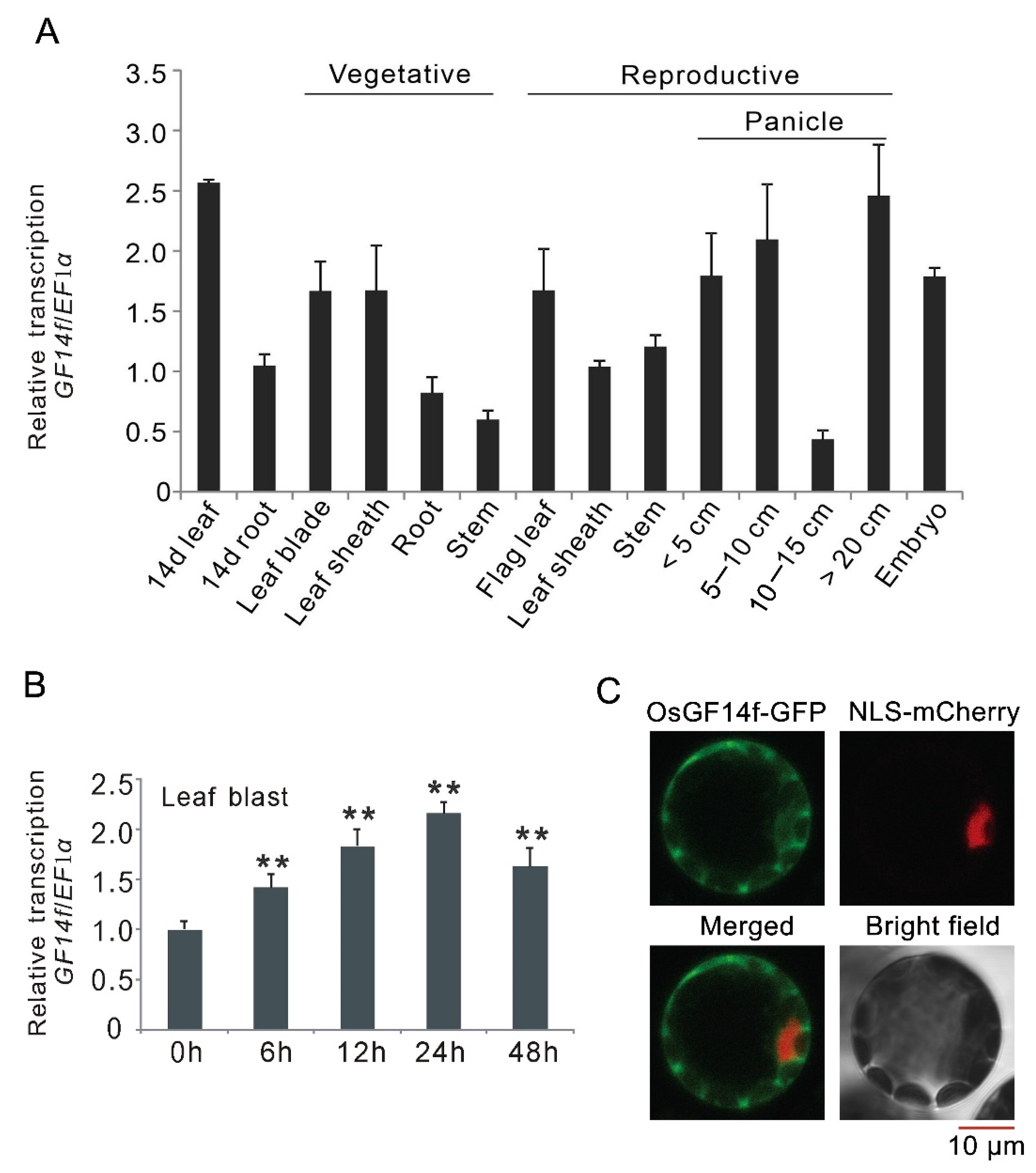 Ijms 23 07440 g001 550