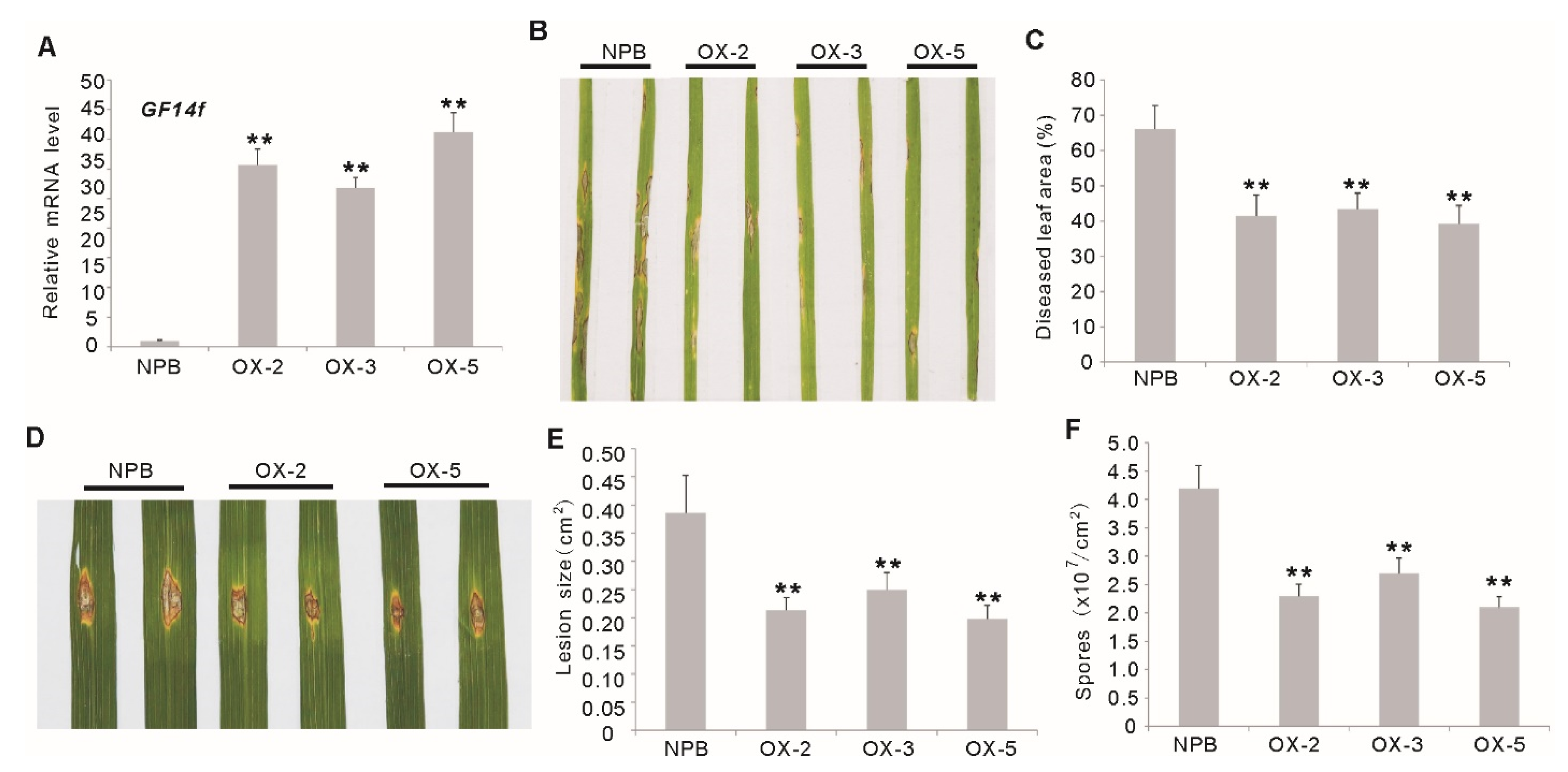 Ijms 23 07440 g002 550