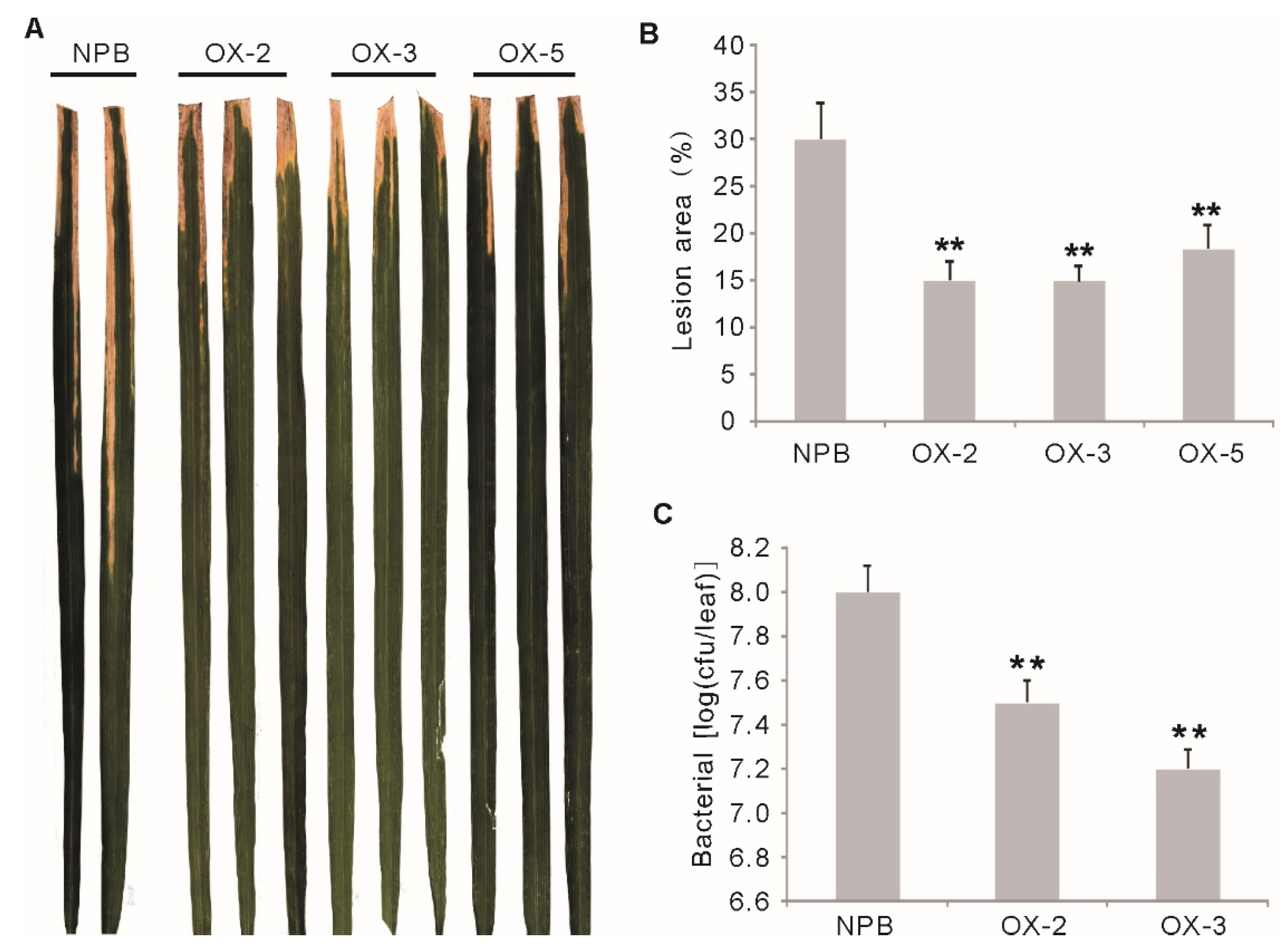 Ijms 23 07440 g003 550