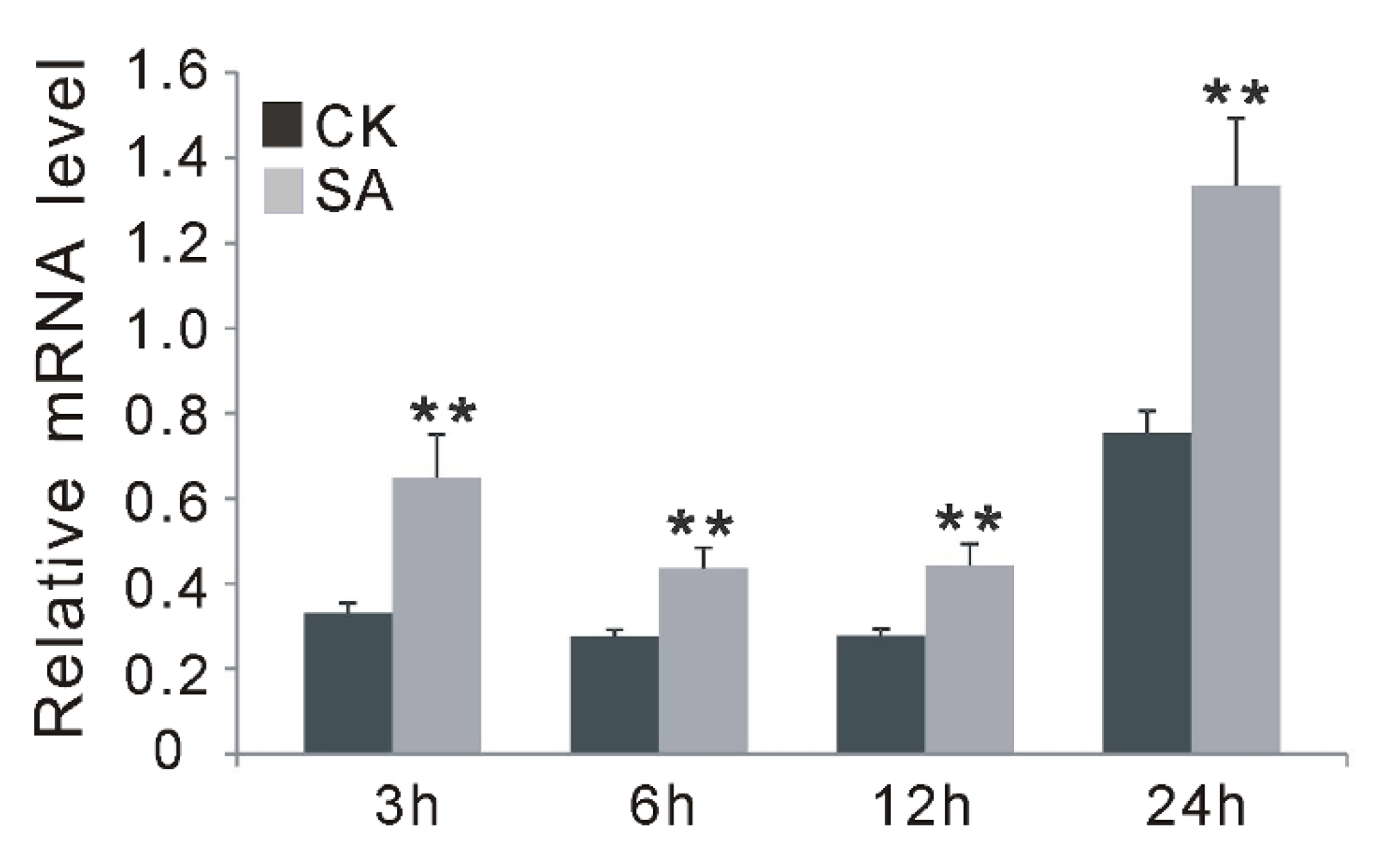 Ijms 23 07440 g005 550