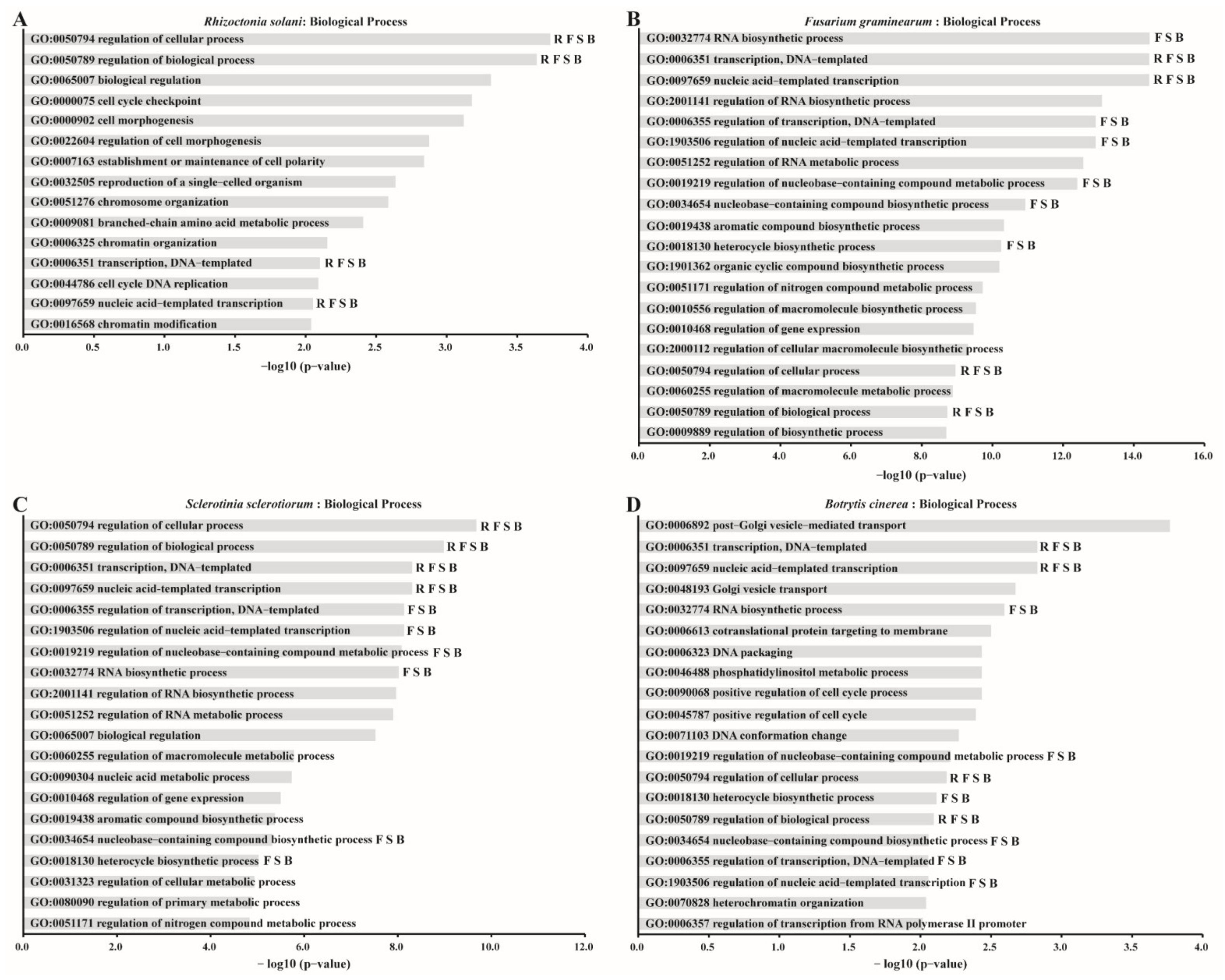 Ijms 23 07441 g007 550