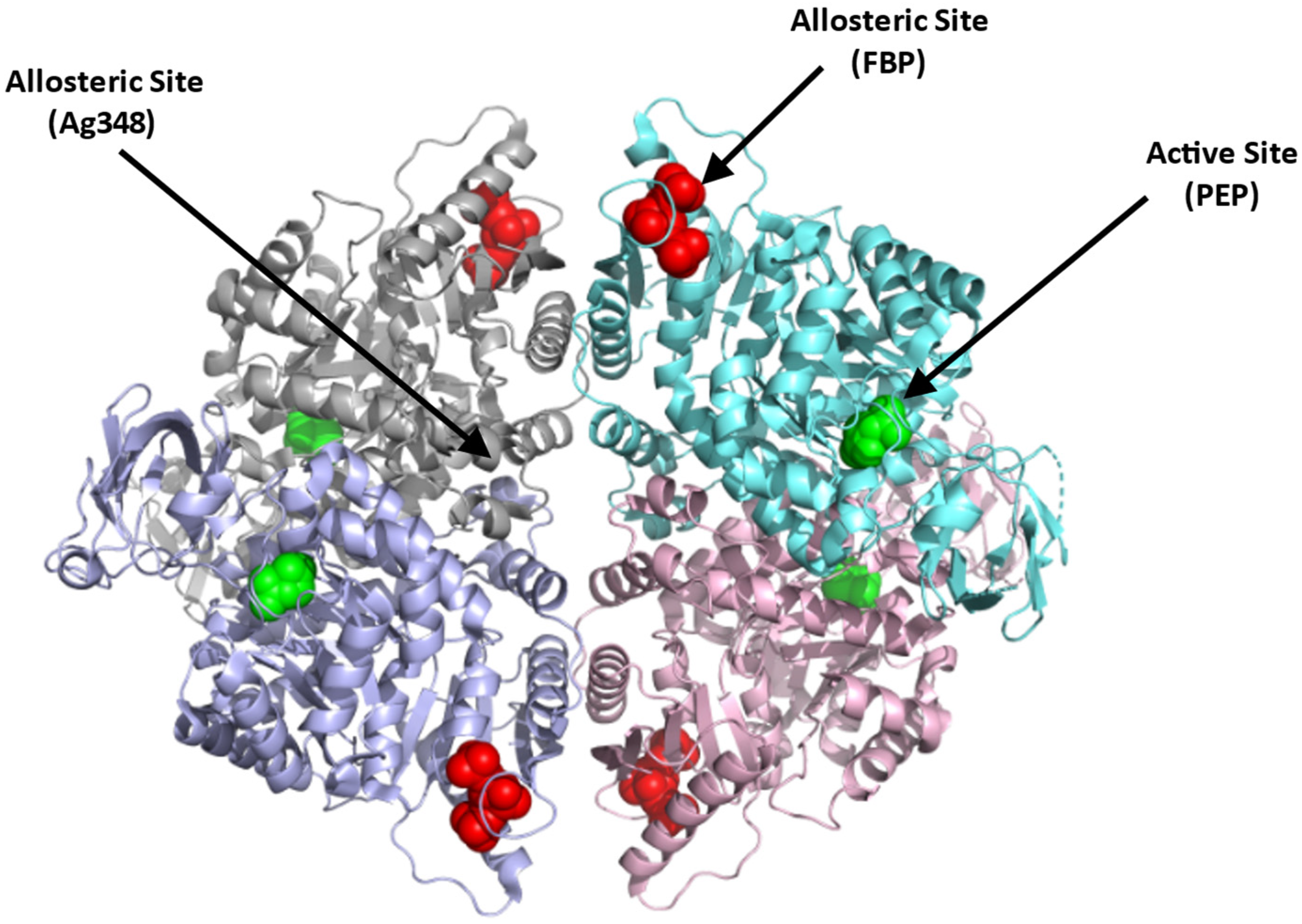 Ijms 23 07448 g004 550