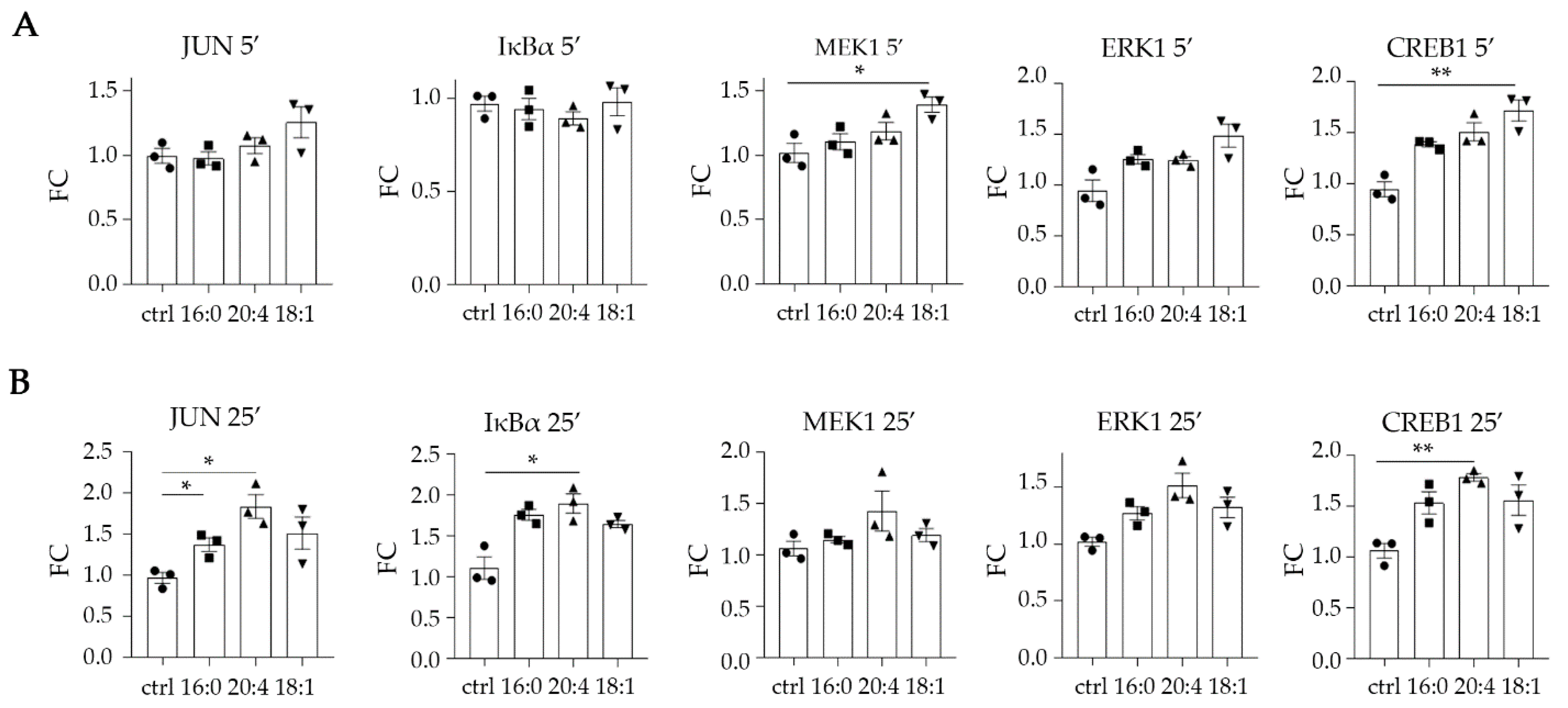 Ijms 23 07452 g005 Ijms 23 07452 g005