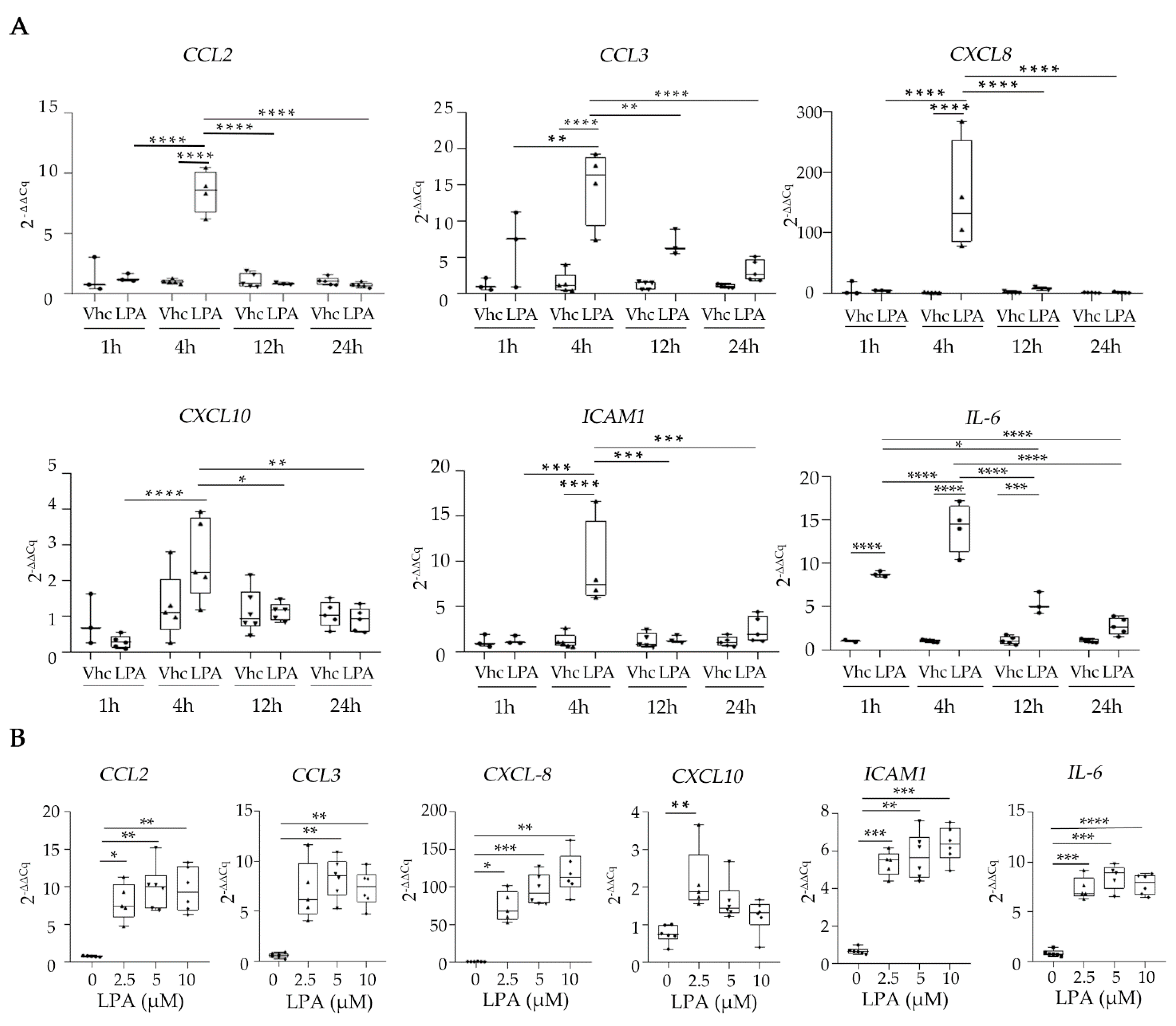 Ijms 23 07452 g007 Ijms 23 07452 g007