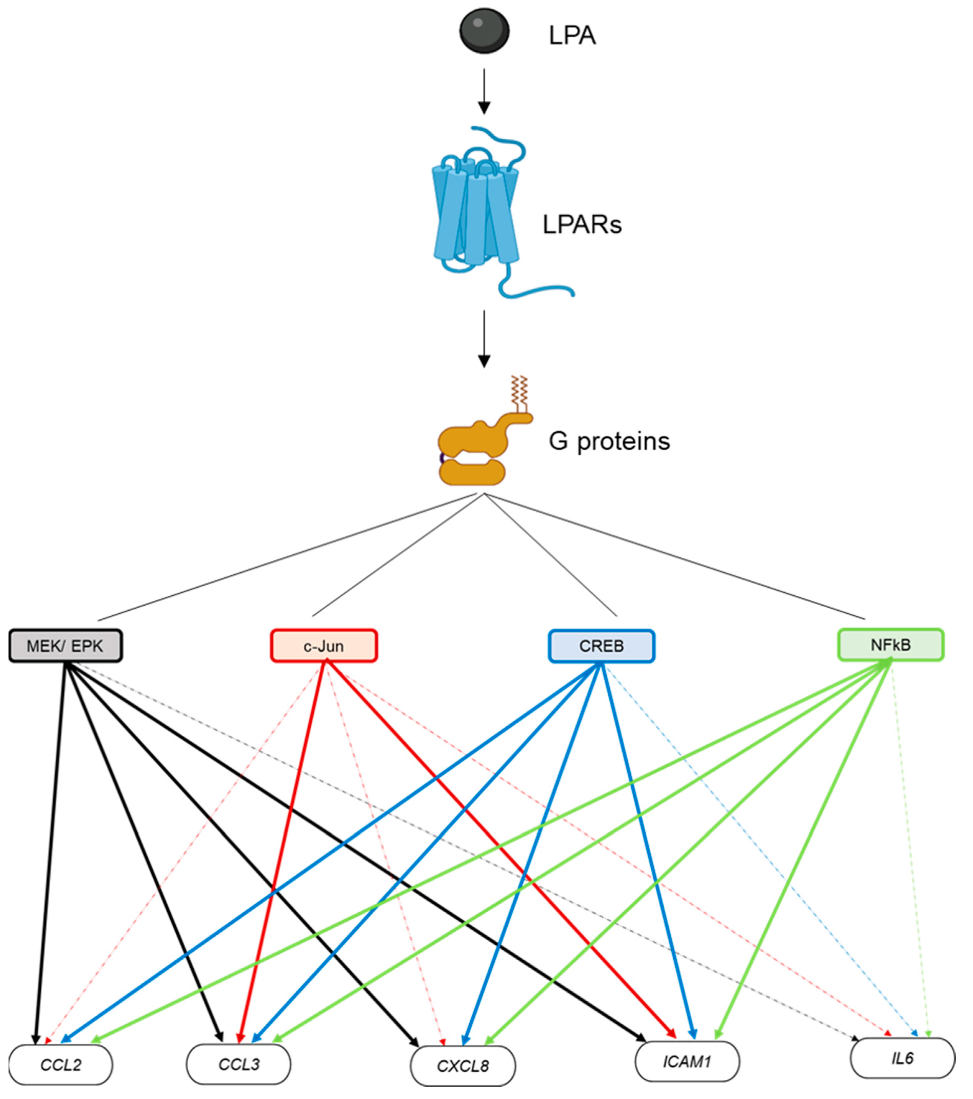 Ijms 23 07452 g009 Ijms 23 07452 g009