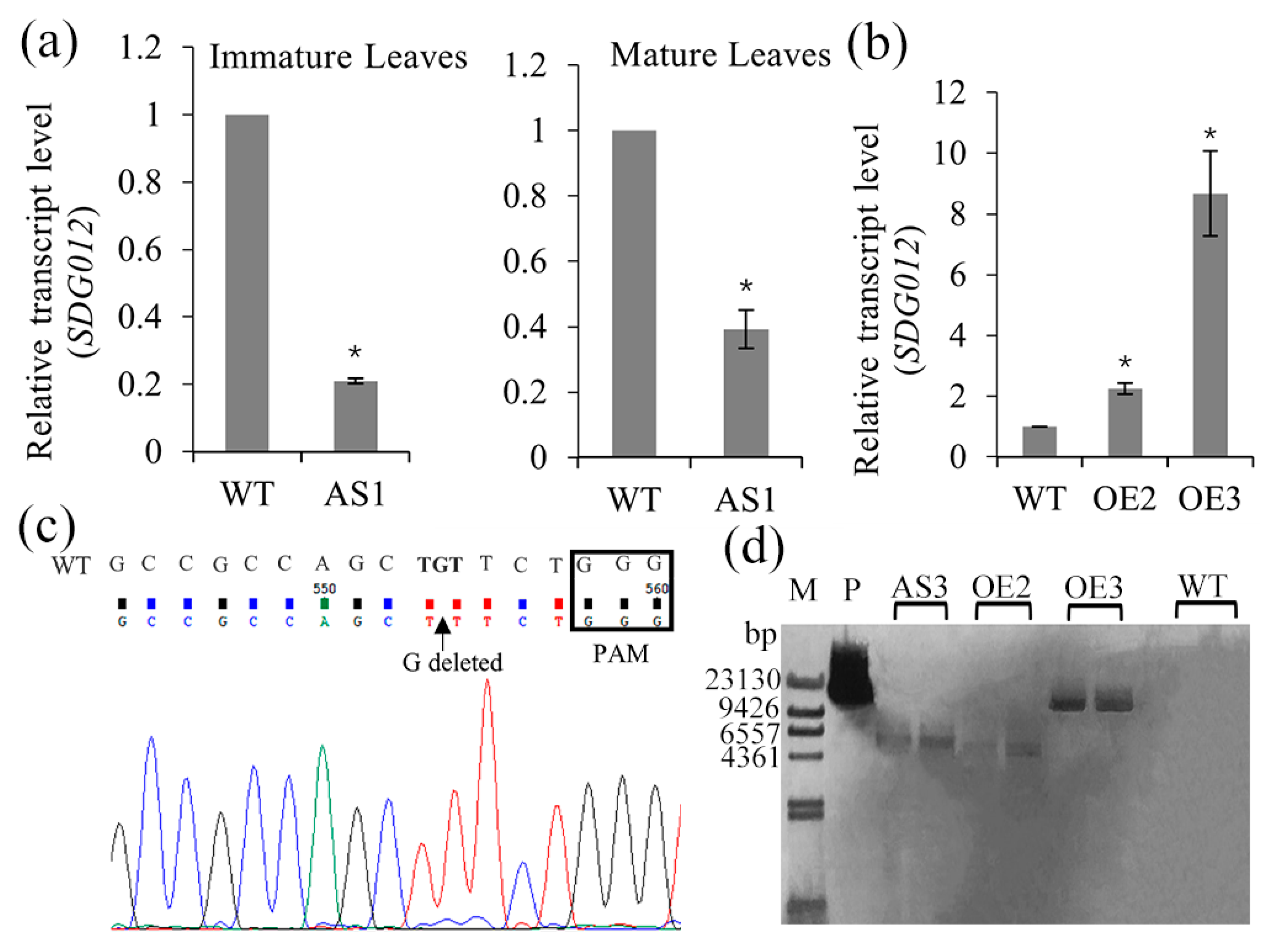 Ijms 23 07458 g001 550